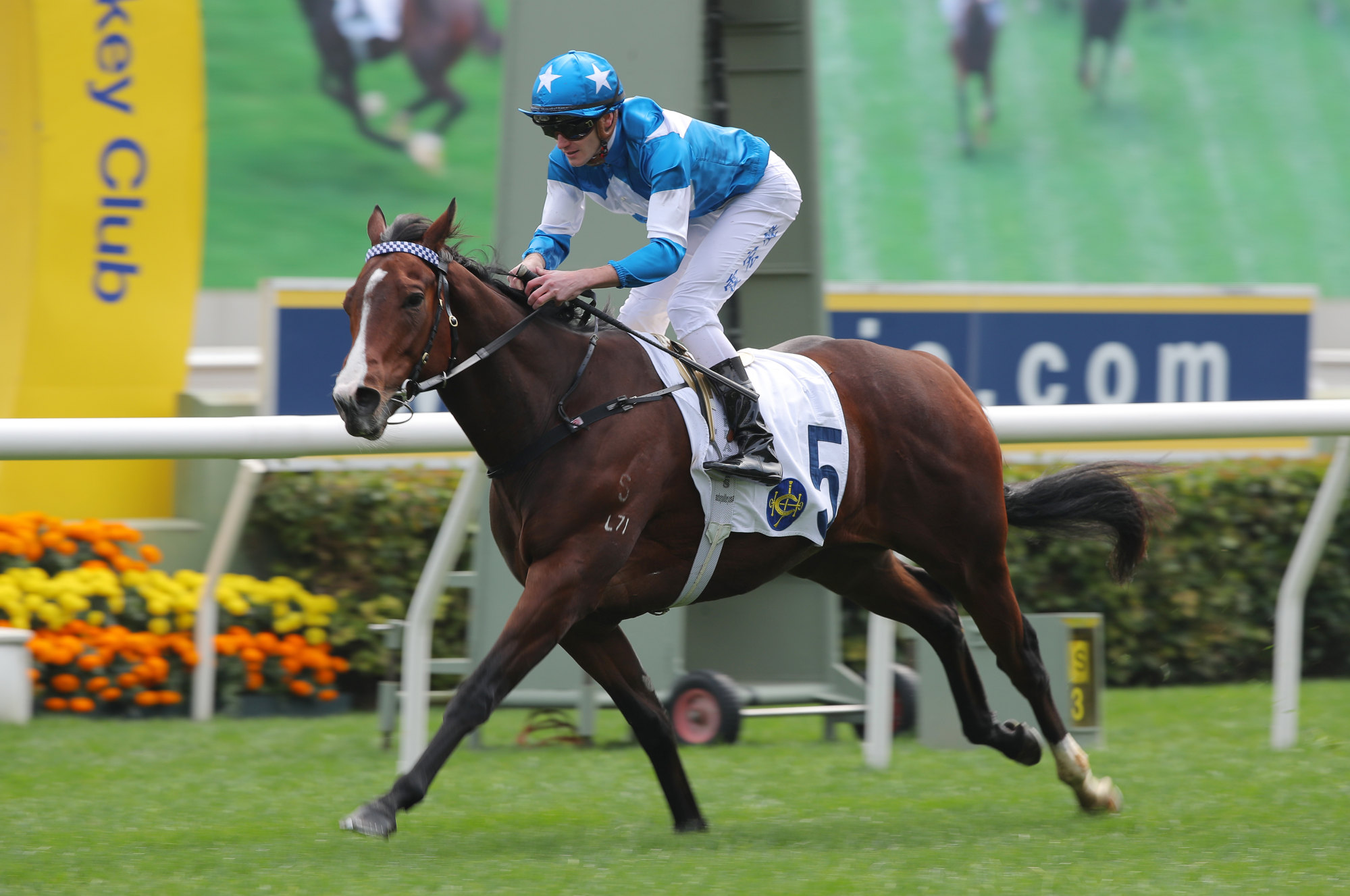 Lucky Ranger soars to victory under Luke Ferraris.