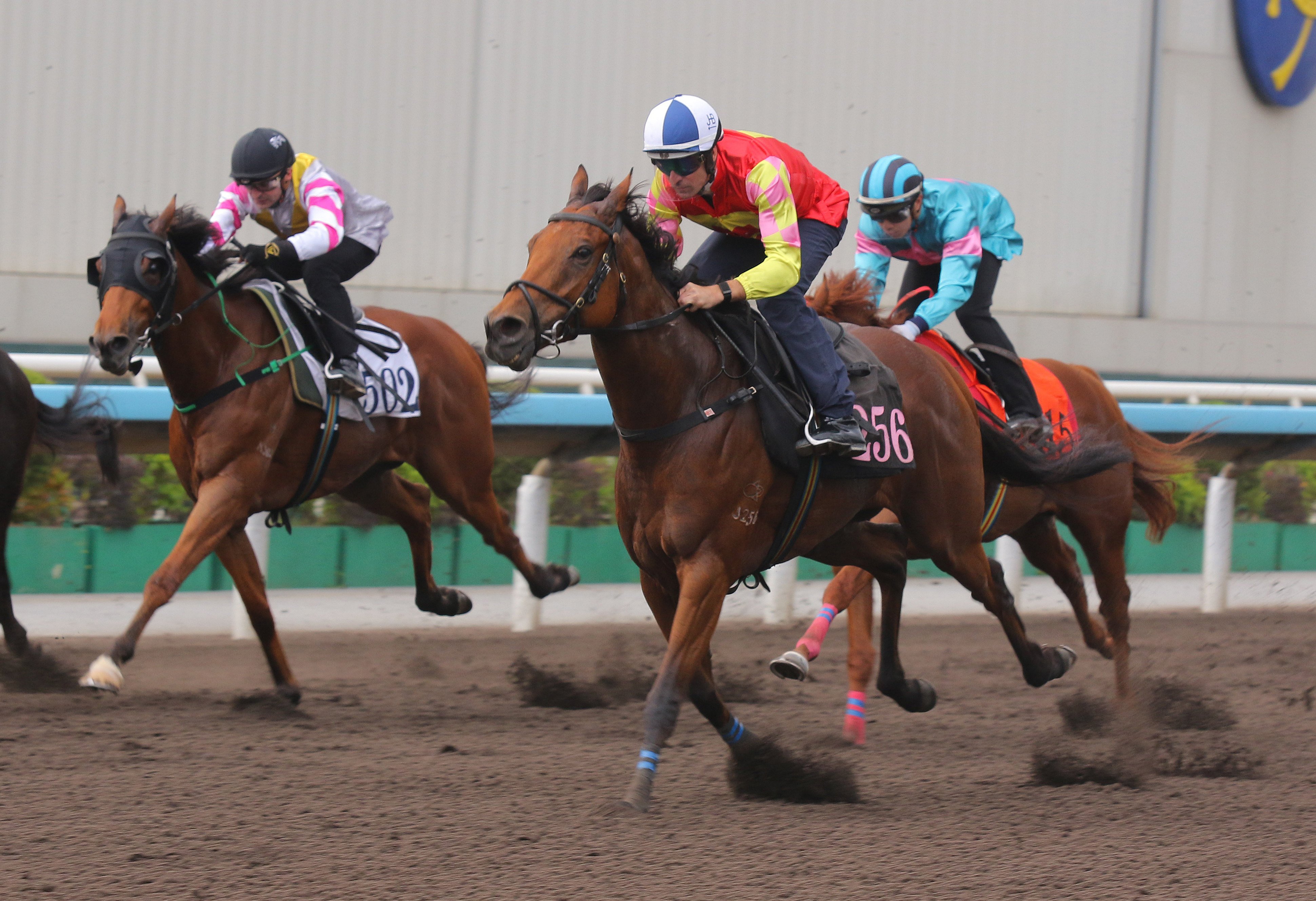 My Wish warms up for the Chairman’s Trophy with an impressive trial win under Hugh Bowman. Photos: Kenneth Chan