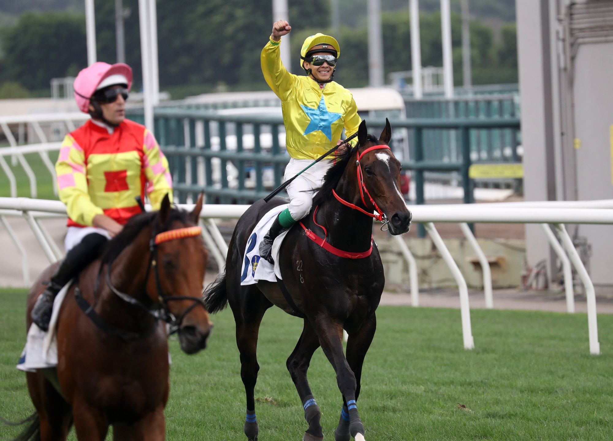 Derek Leung (yellow) punches the air on Lucky Sweynesse. Derek Leung (yellow) punches the air on Lucky Sweynesse.