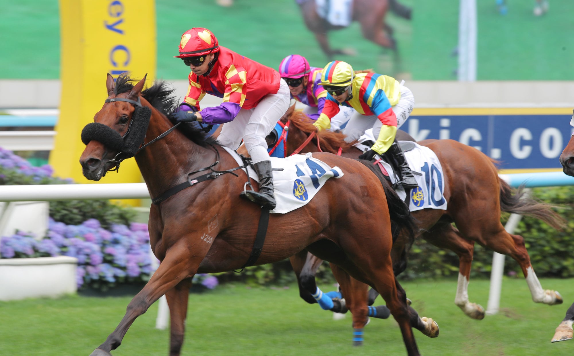 Alexis Badel boots home Supreme Winner.