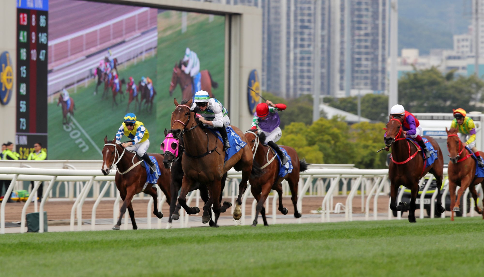 Voyage Bubble is running riot and won last year's Gold Cup.