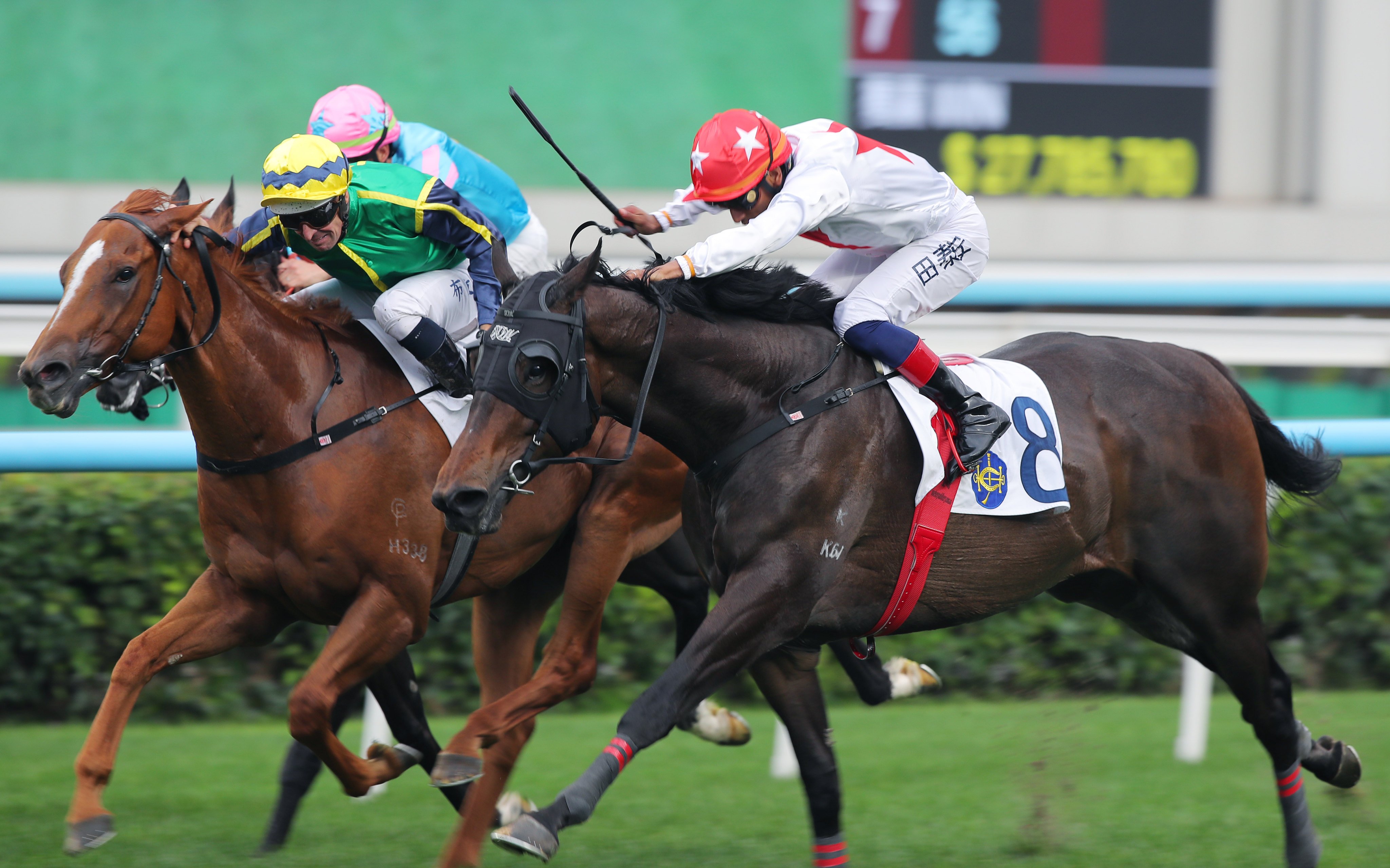 Mugen gets up on the inside to score a thrilling win under Hugh Bowman. Photos: Kenneth Chan