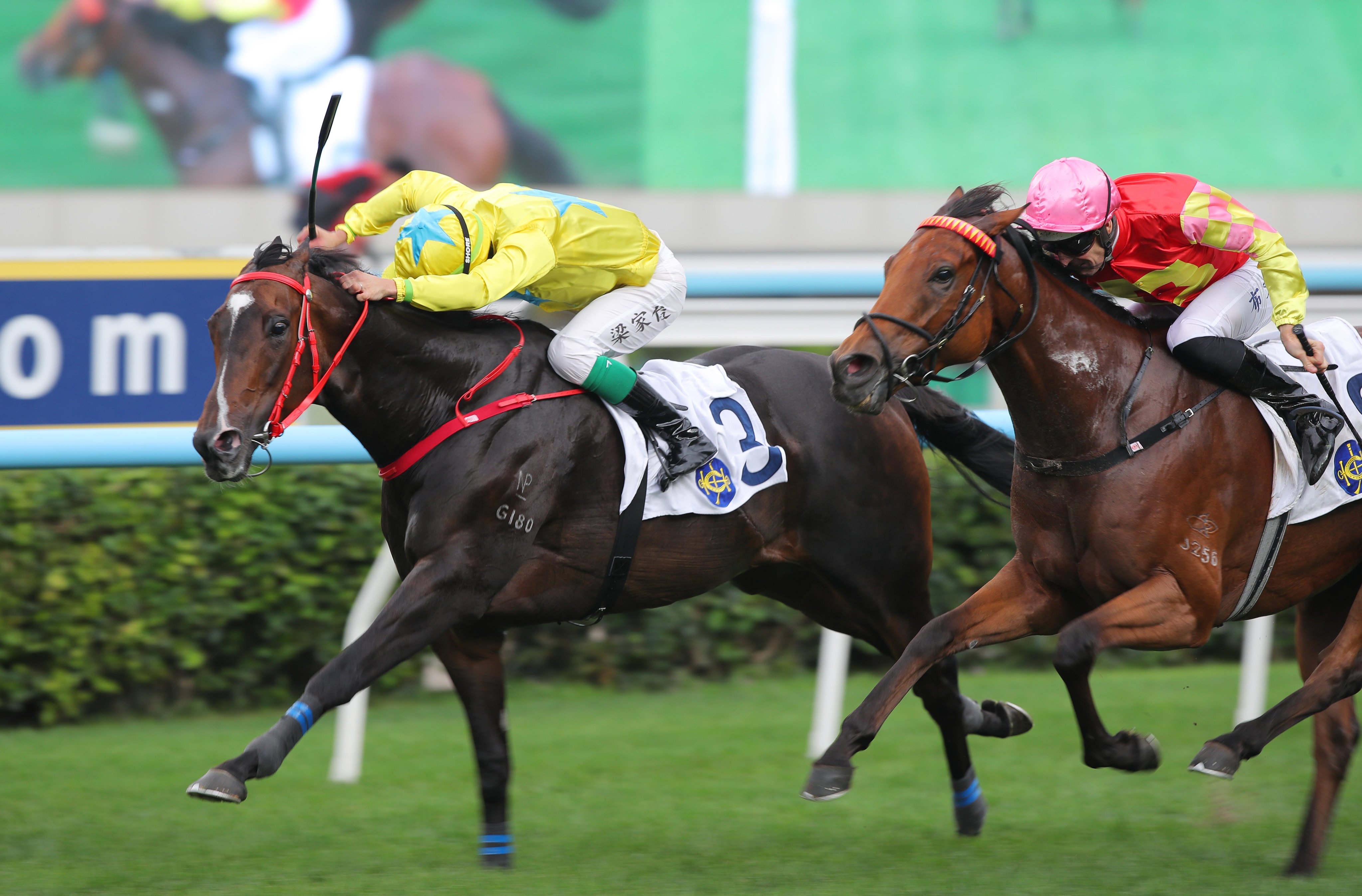 Lucky Sweynesse and Derek Leung win at Sha Tin. Photos: Kenneth Chan