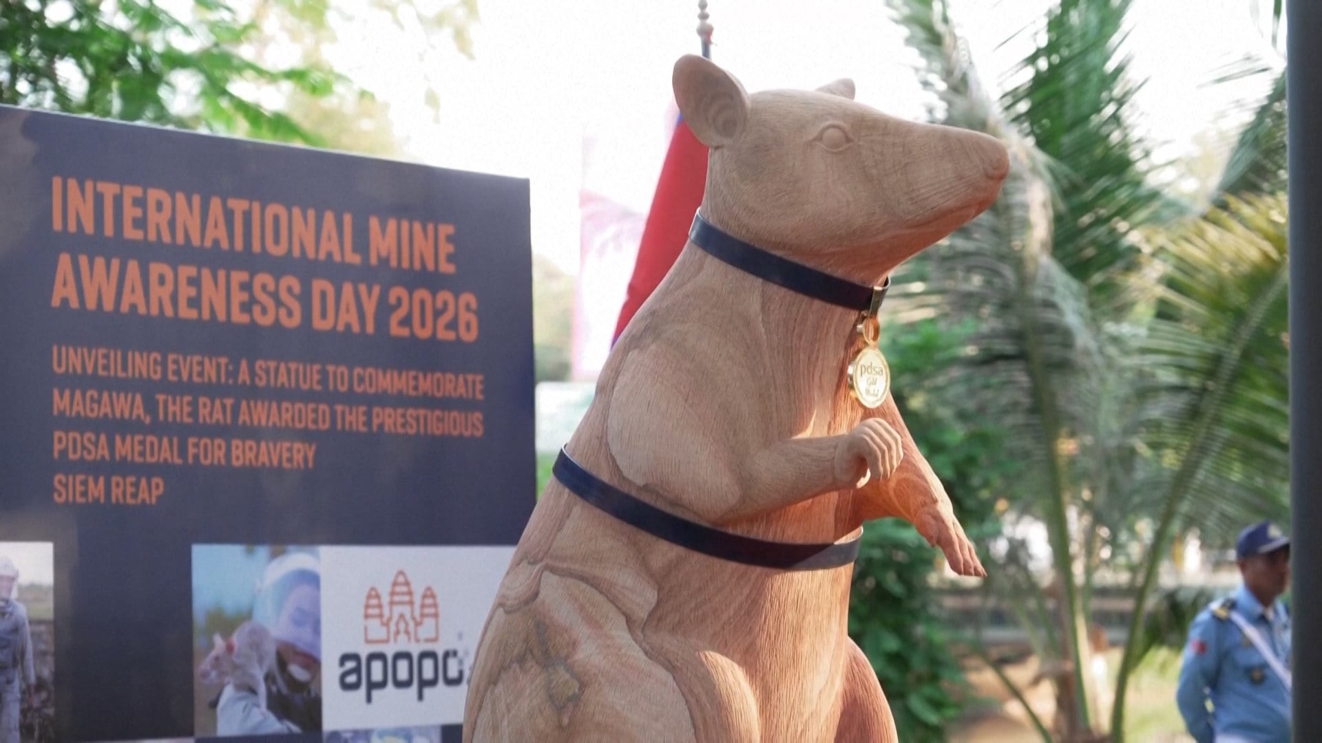 Cambodia unveiled a stone statue of Magawa, the world’s most decorated landmine-detection rat on April 3, 2026.