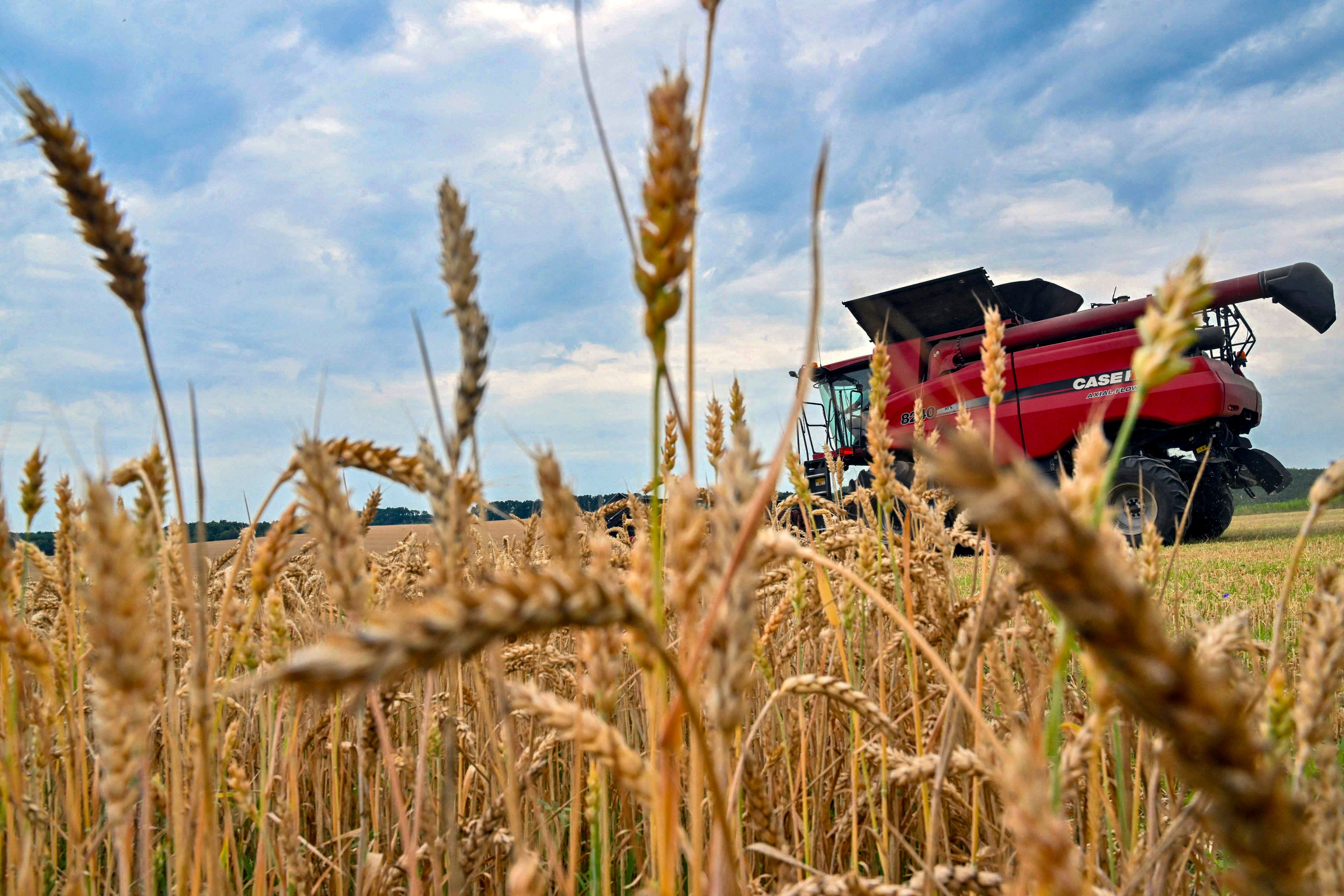 scmp.com - Carol Yang - Beyond Russian oil, China also increases appetite for Ukrainian wheat flour
