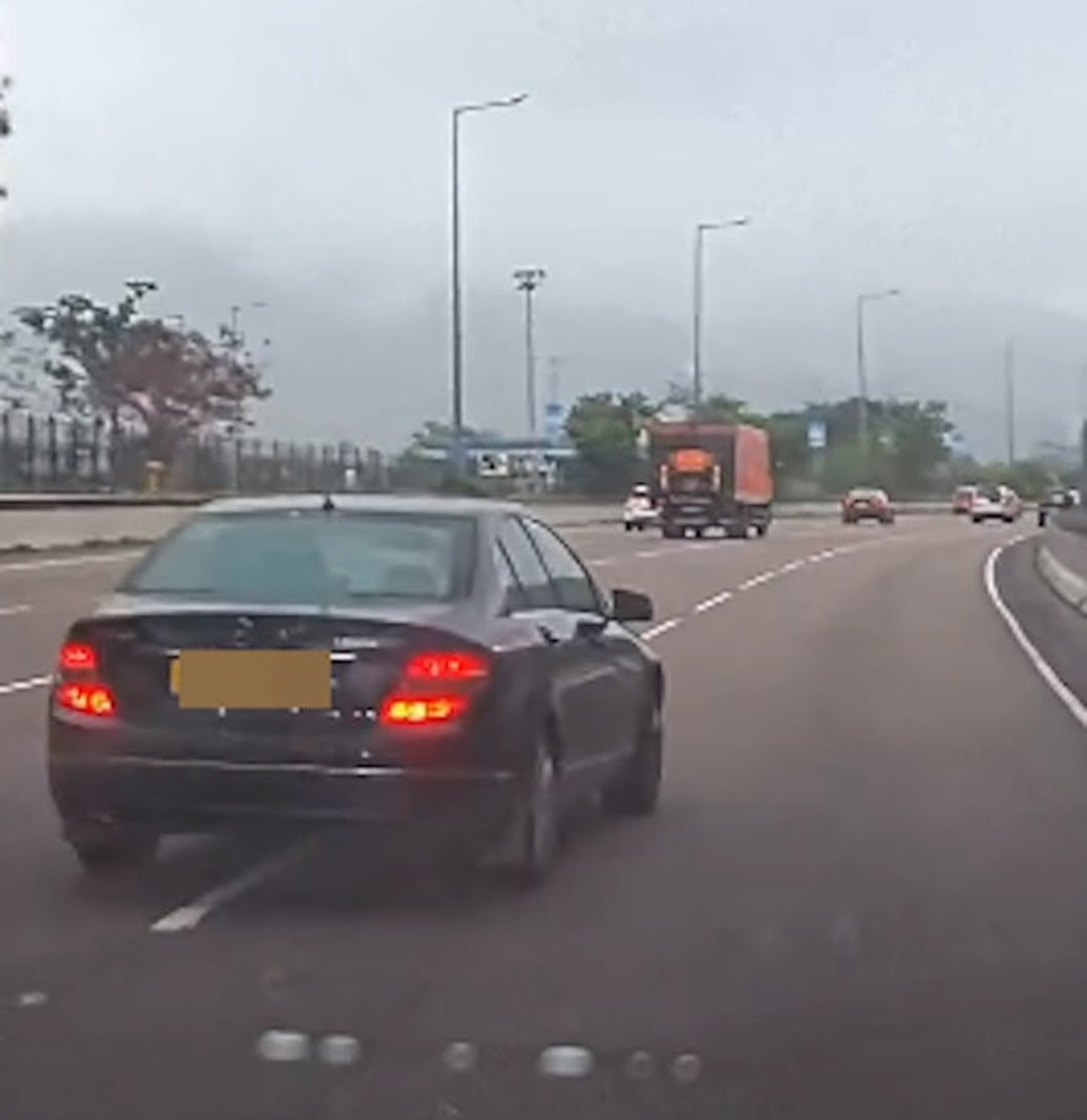 The viral footage prompted police in the New Territories to investigate. Photo: Handout