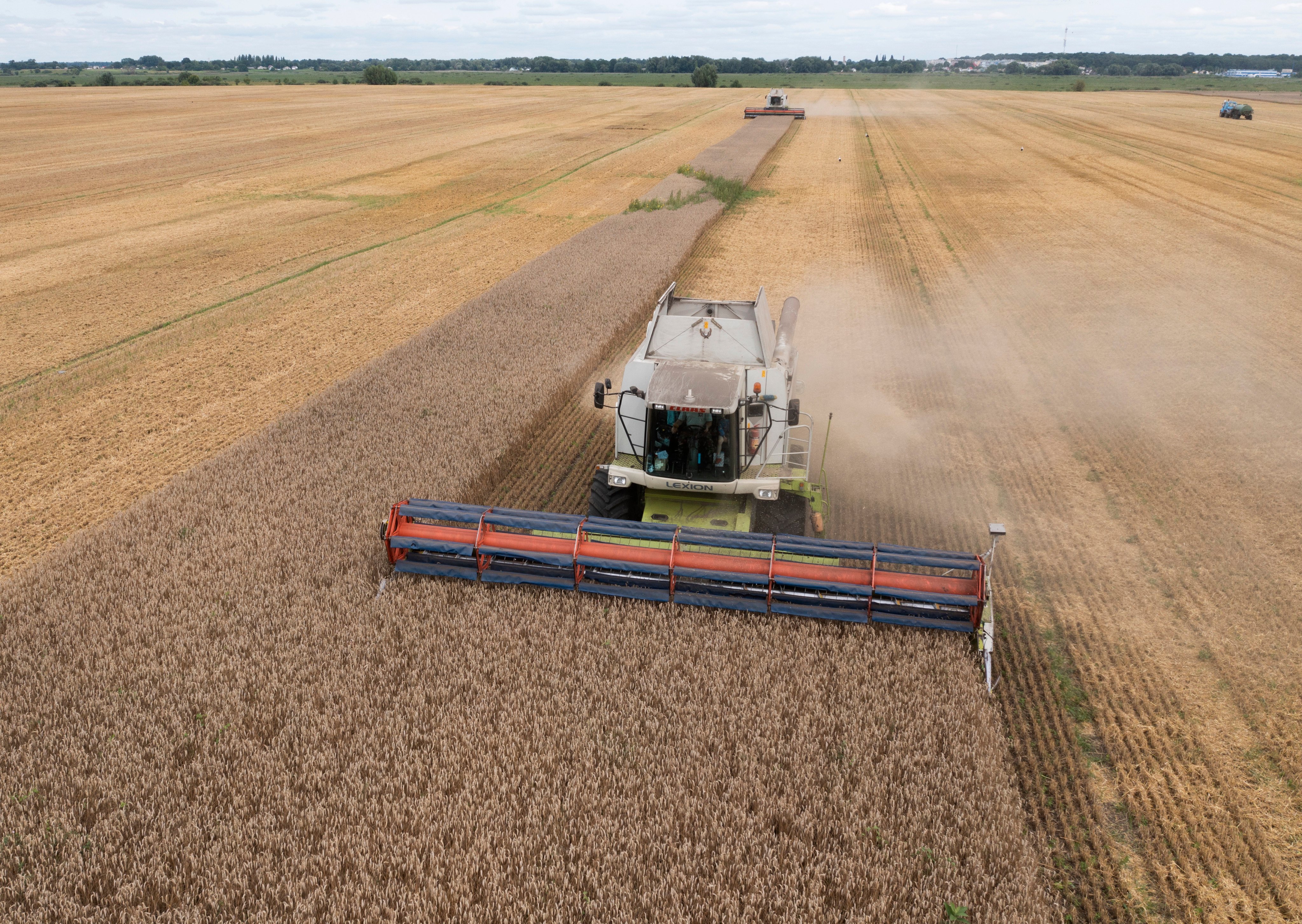 Harvesters gather wheat in Zghurivka, Ukraine, in August 2022. Photo: AP