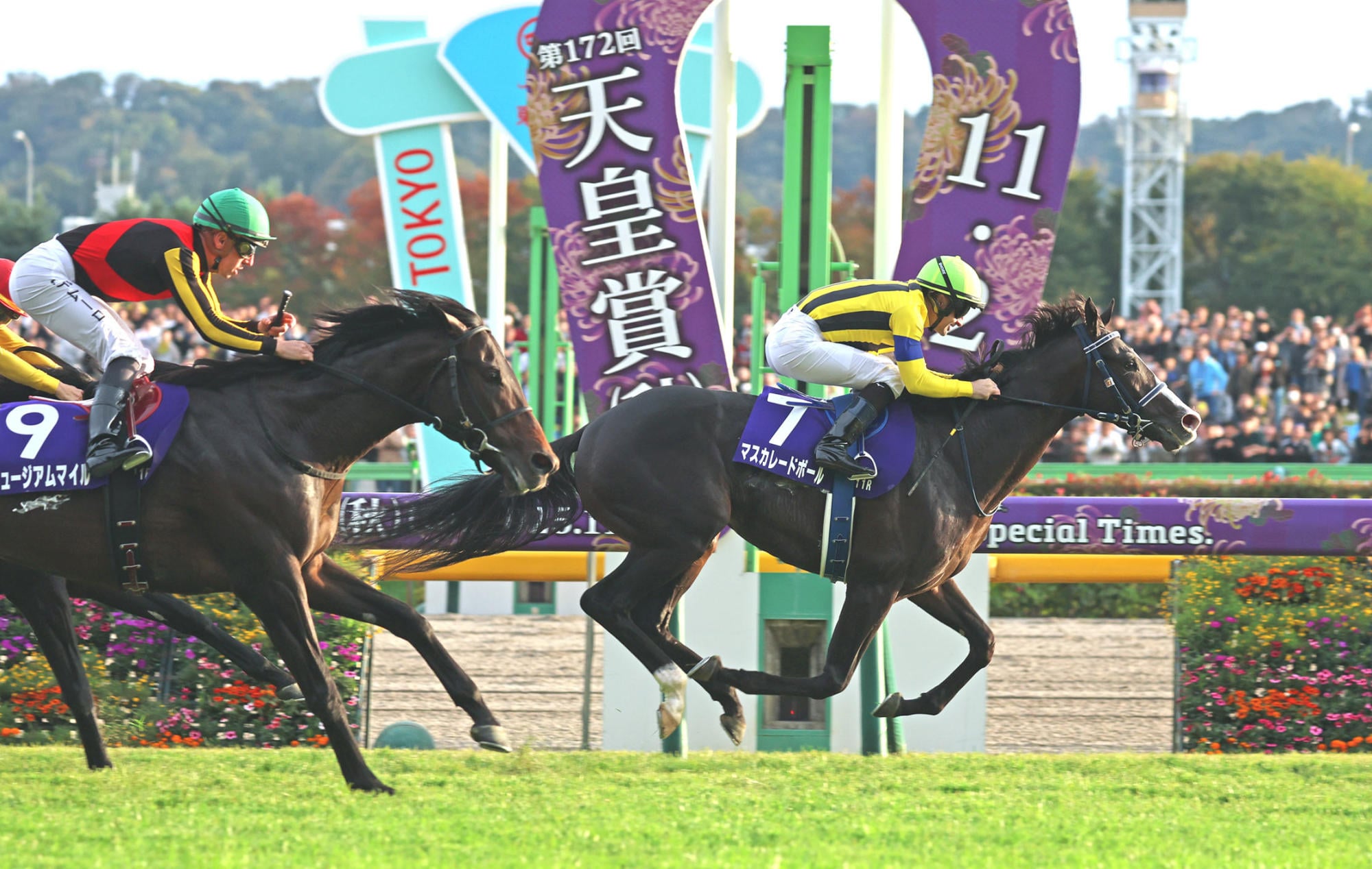 Masquerade Ball will take on Romantic Warrior in the QE II Cup. Photo: JRA