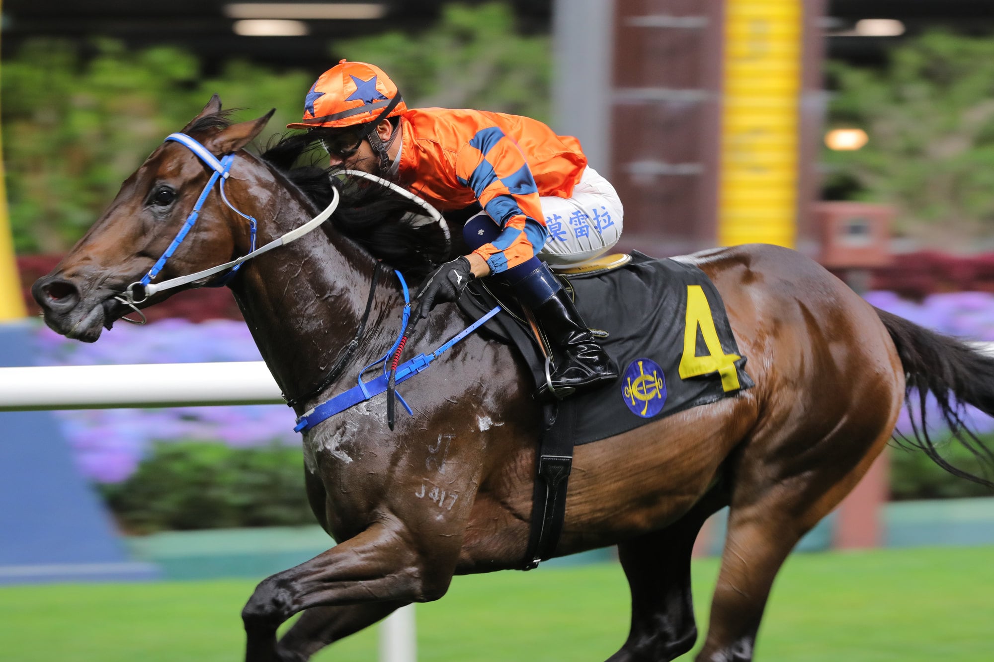 Perfect General, ridden by Joao Moreira, wins at Happy Valley. Perfect General, ridden by Joao Moreira, wins at Happy Valley.