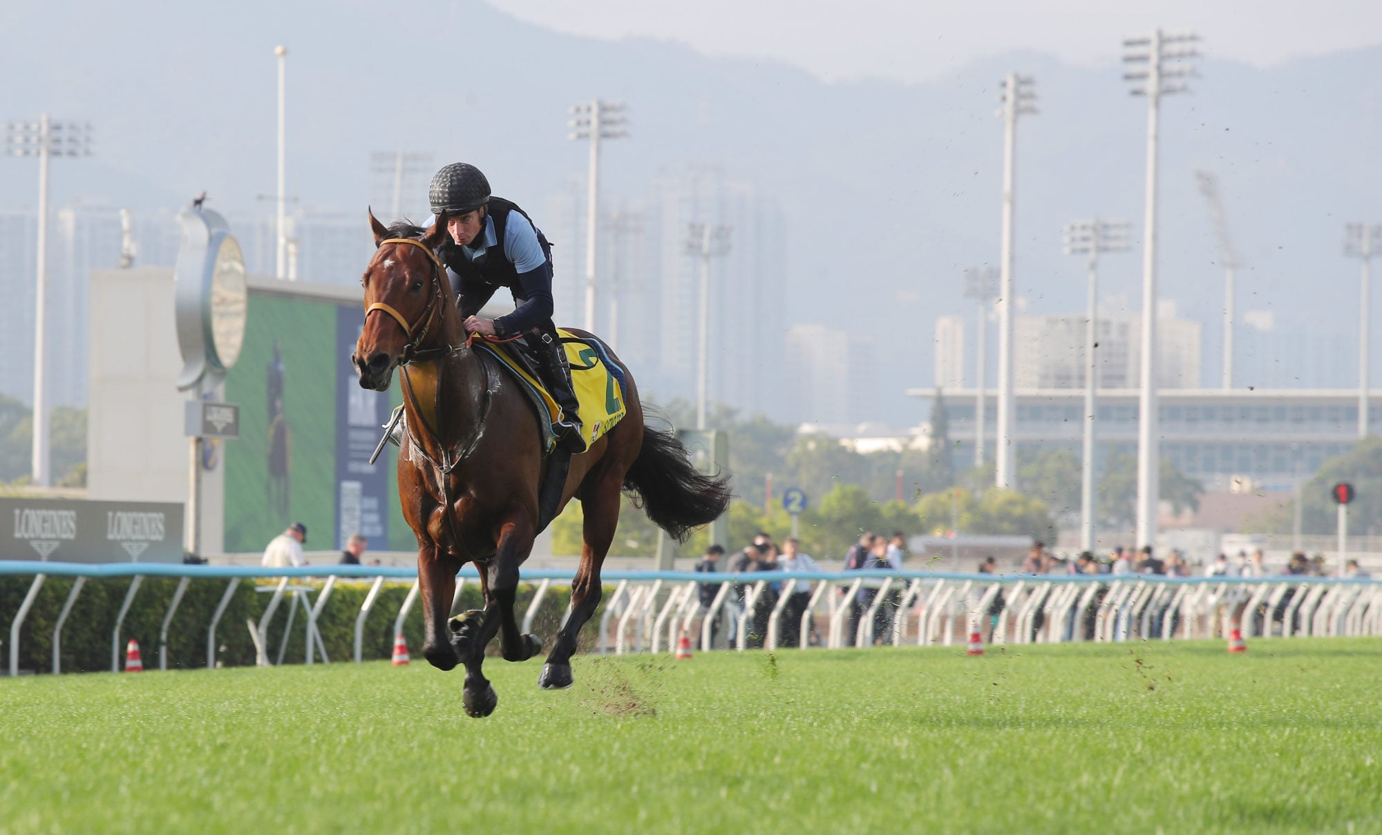 Satono Reve gallops at Sha Tin last December.