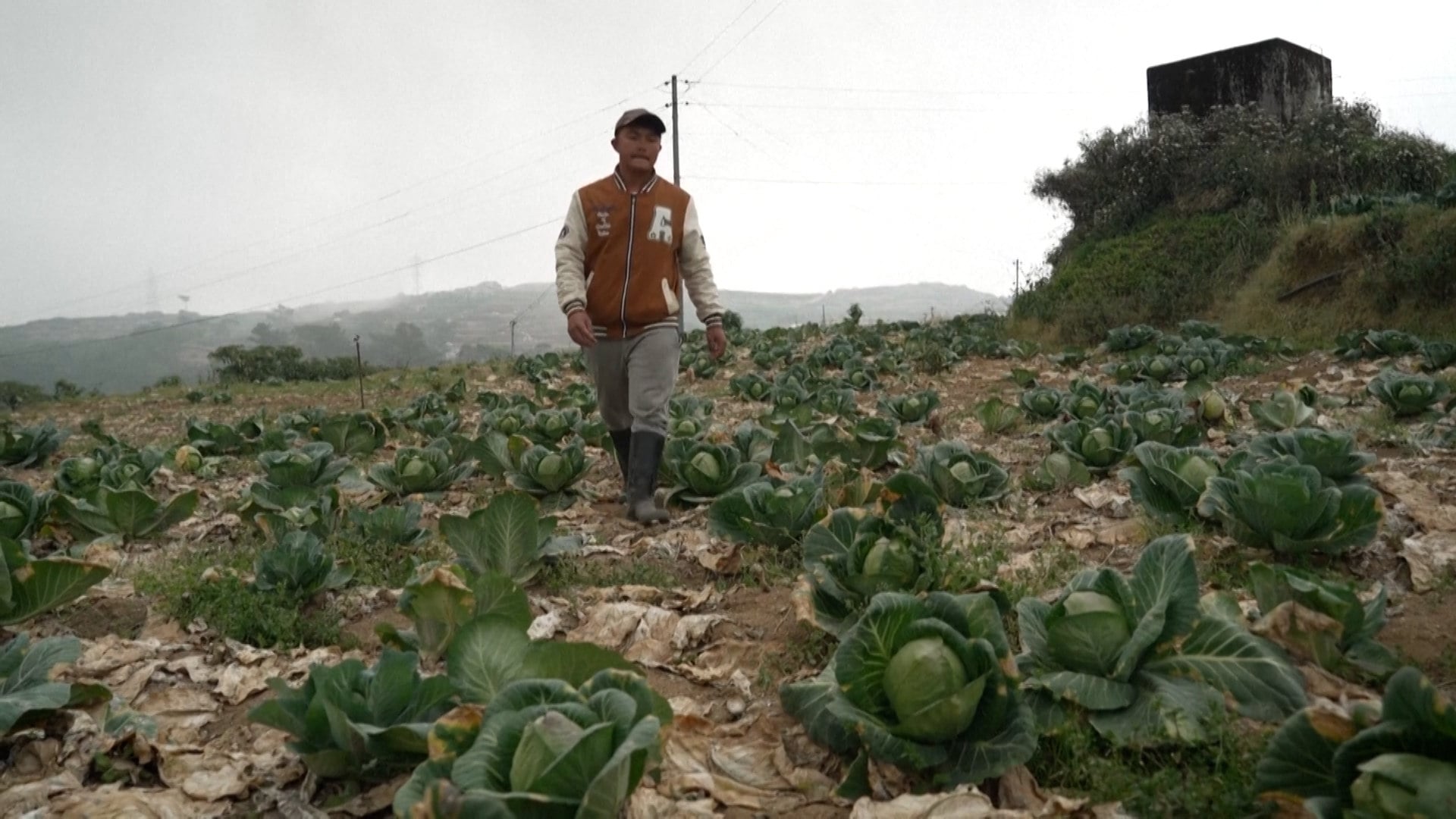 Soaring diesel prices linked to the Middle East conflict are pushing vegetable farmers in the northern Philippine province of Benguet towards financial ruin. With fuel costs reportedly hitting 150 pesos (US$2.50) per litre, growers have been struggling to pay for irrigation and transport and often operate at a loss. Farmers in some remote areas even face inconsistent fuel supplies.
