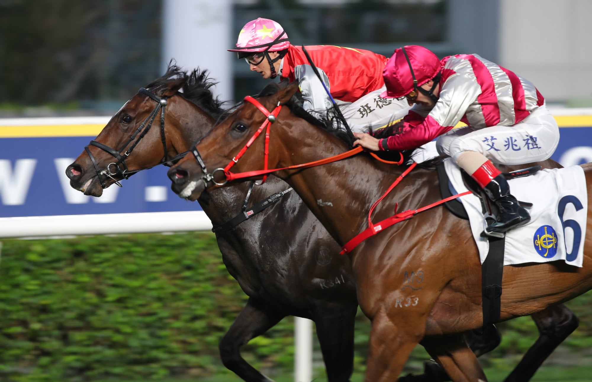Endued (almost) misses from Sha Tin.