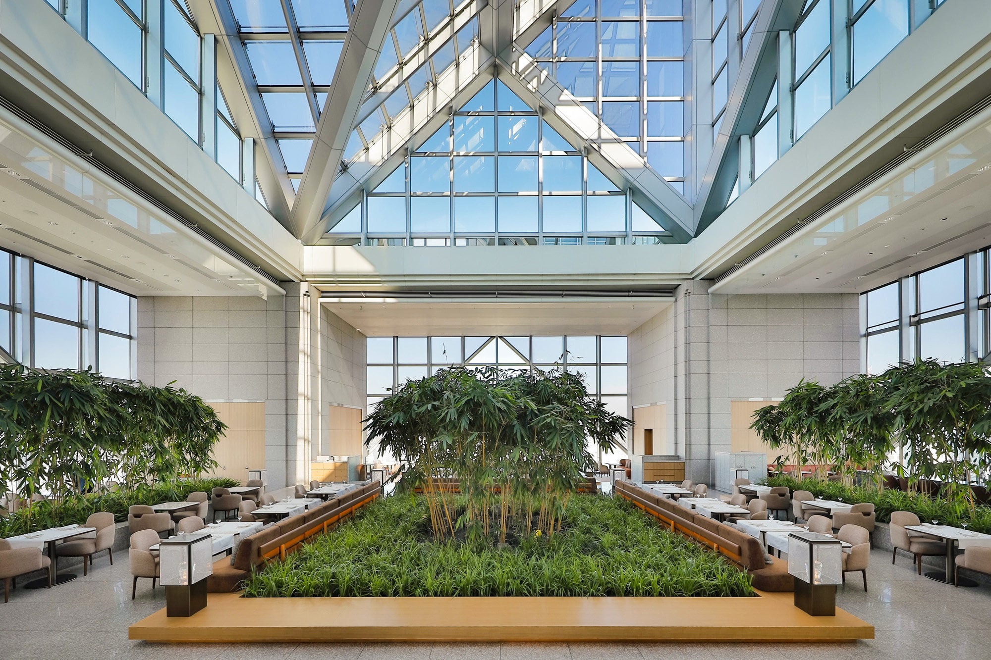 The famous bamboo grove at The Peak Lounge & Bar at Park Hyatt Tokyo. Photo: Handout