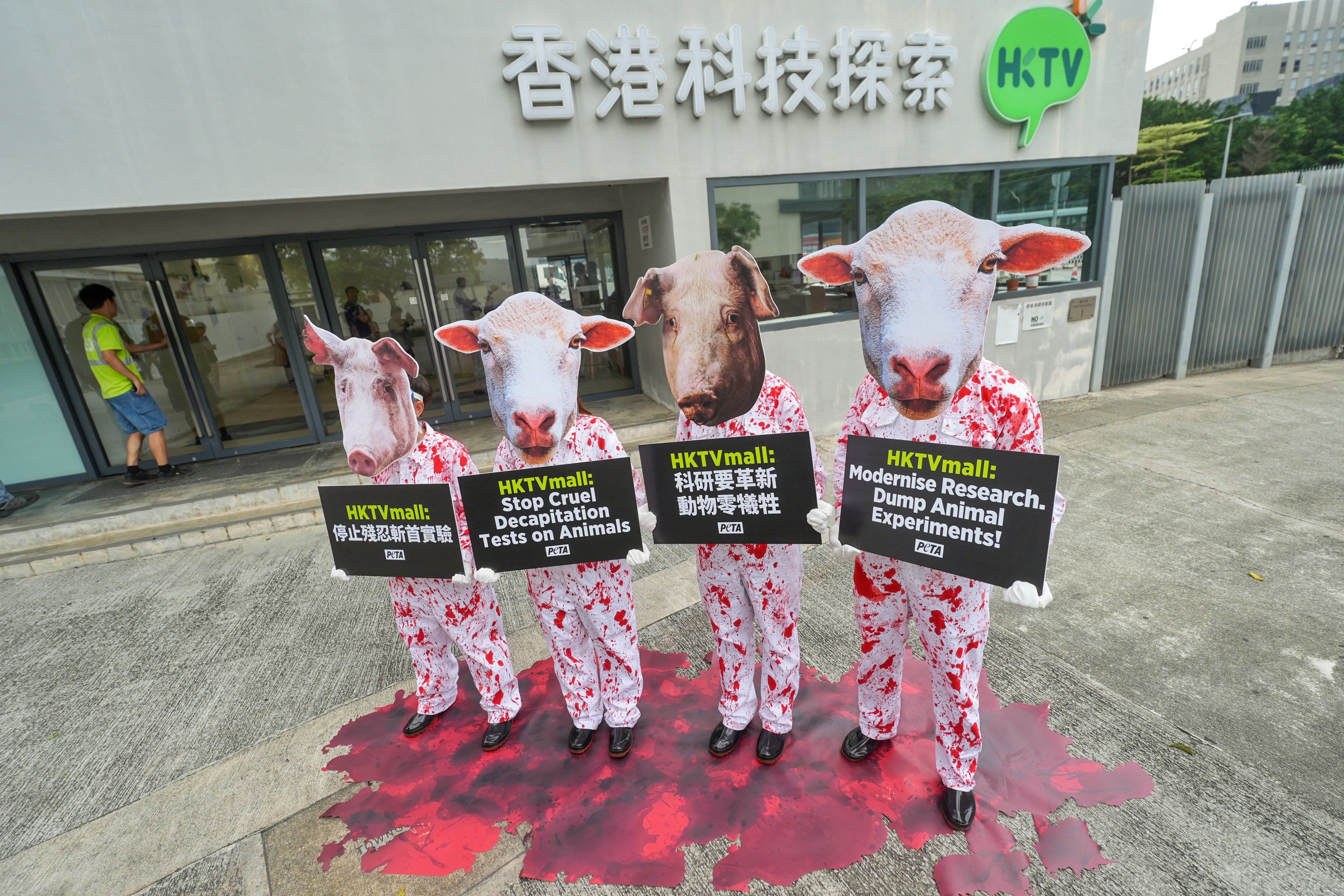 Animal rights advocates wearing pig and sheep masks stage a protest outside the HKTVmall building in Tseung Kwan O. Photo: Elson Li