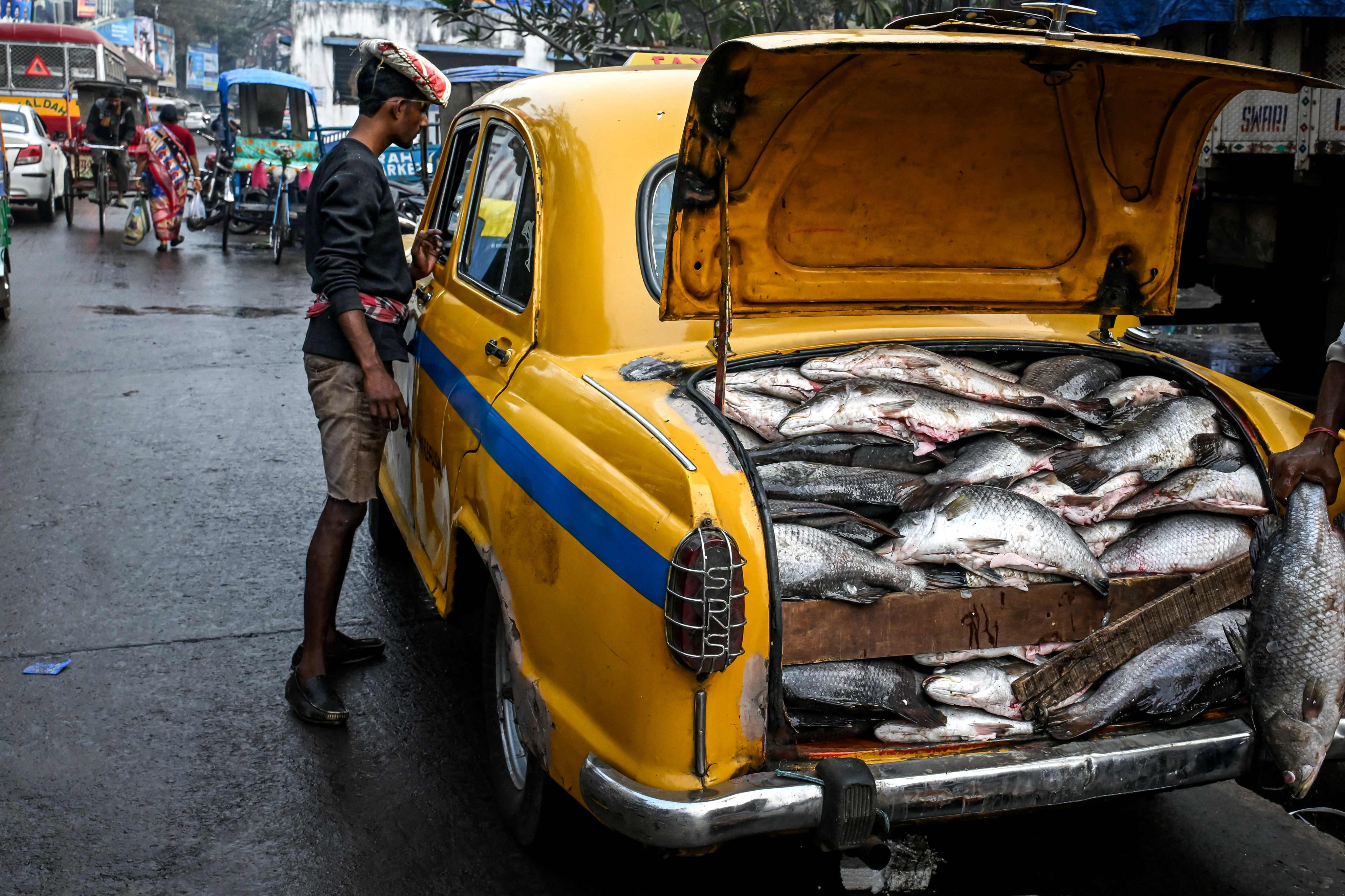 A labourer inspects a Hindustan Ambassador yellow taxi, transporting fish at a wholesale market on January 30, in Kolkata, West Bengal state, India. Photo: AFP