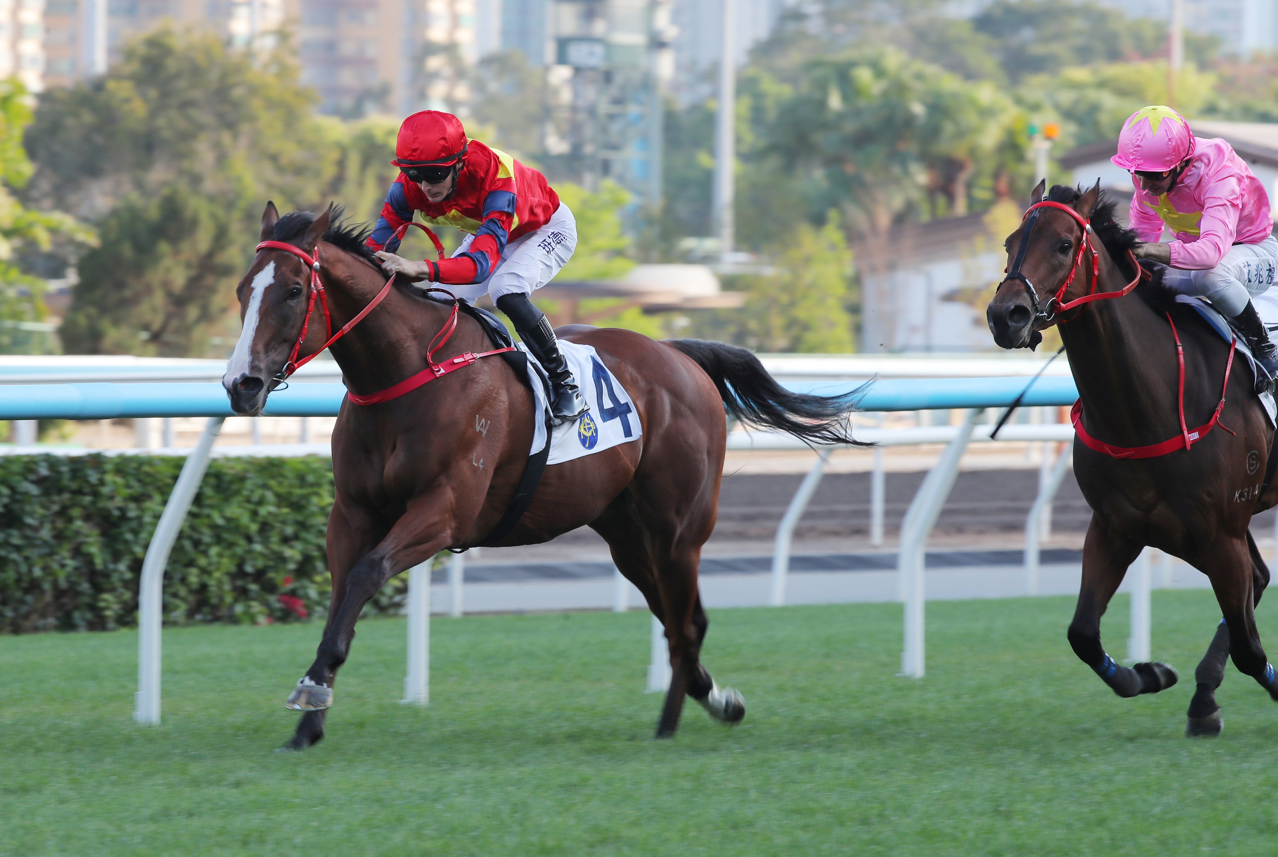Smart Golf, ridden by Harry Bentley, makes it three wins from five starts at Sha Tin. Photos: Kenneth Chan.