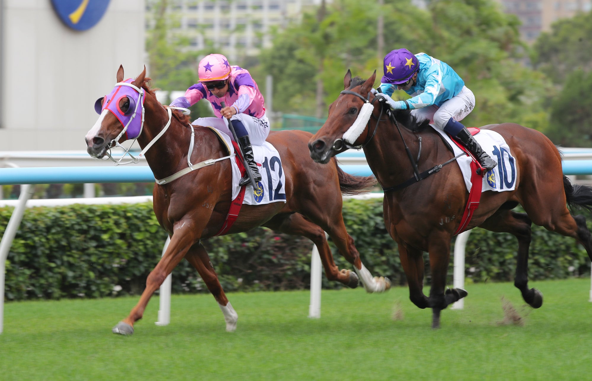 He Was Me (inside) lifts under Karis Teetan to score.