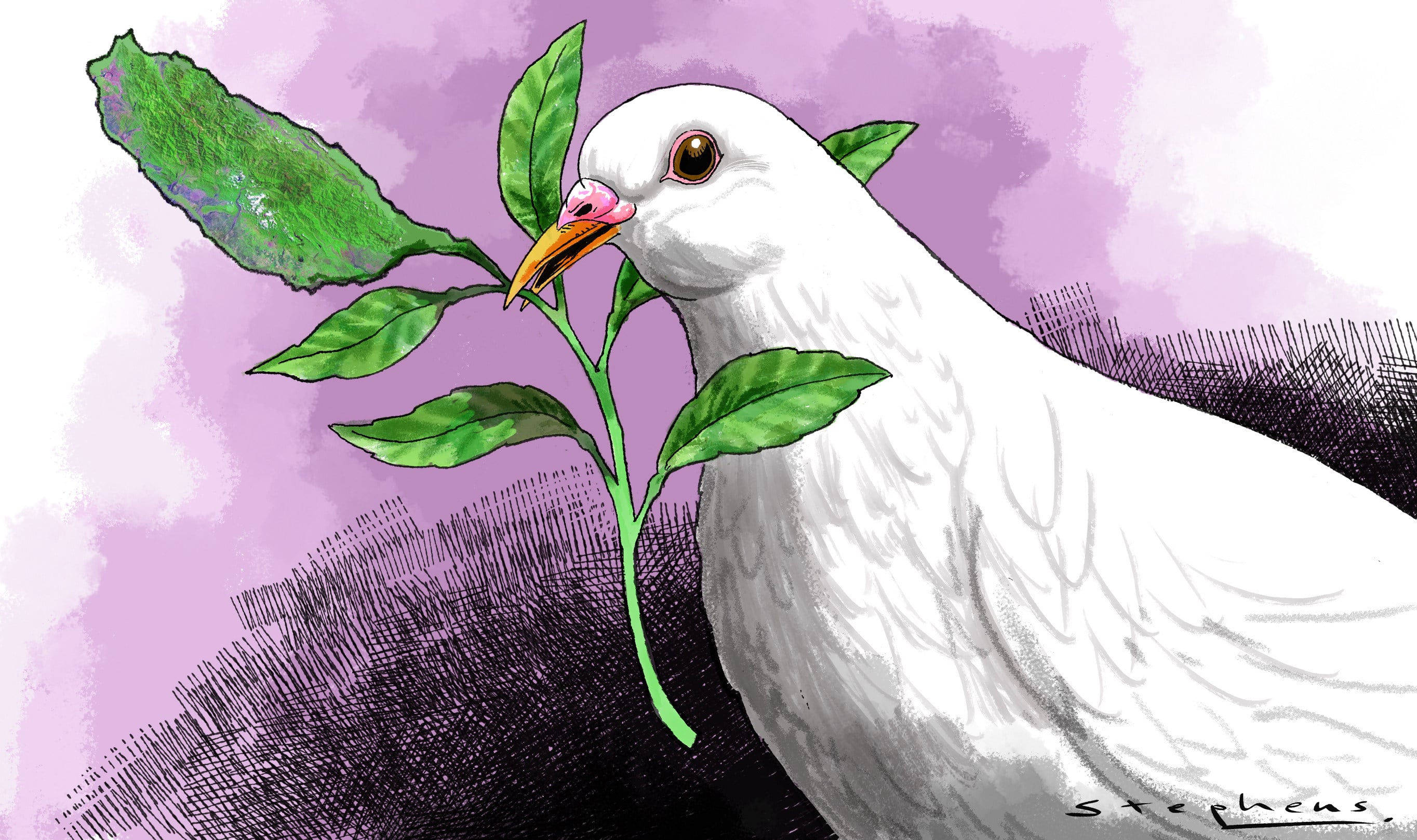 Illustration: Craig Stephens