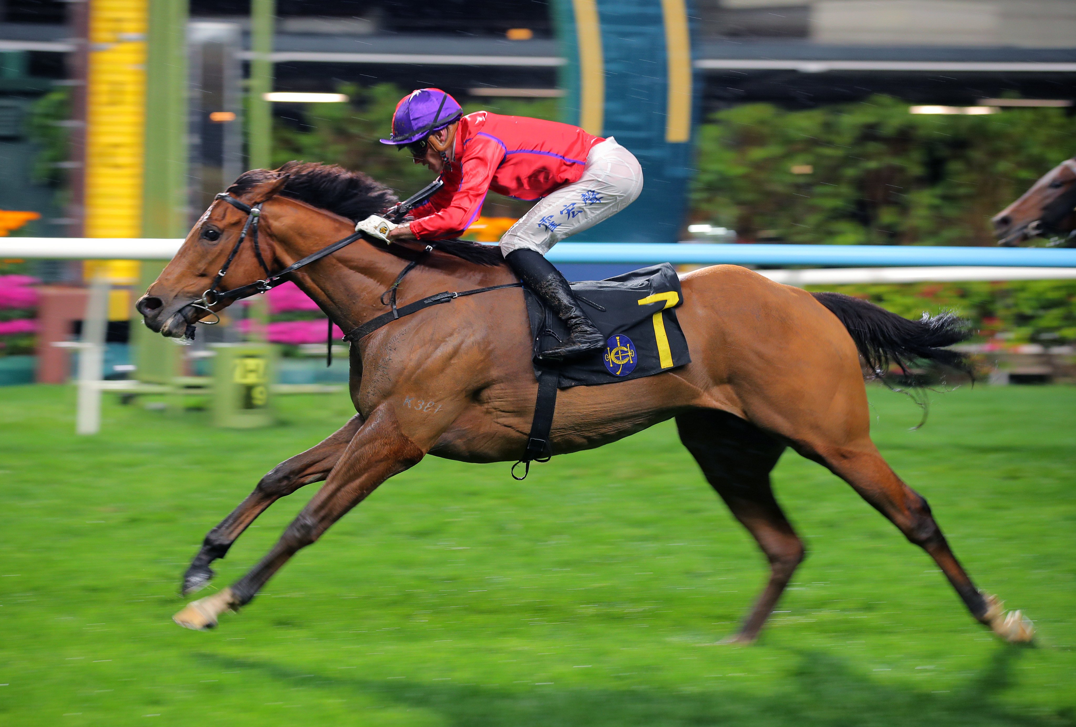 Fivefortwo, ridden by Luke Ferraris, wins at Happy Valley. Photos: Kenneth Chan