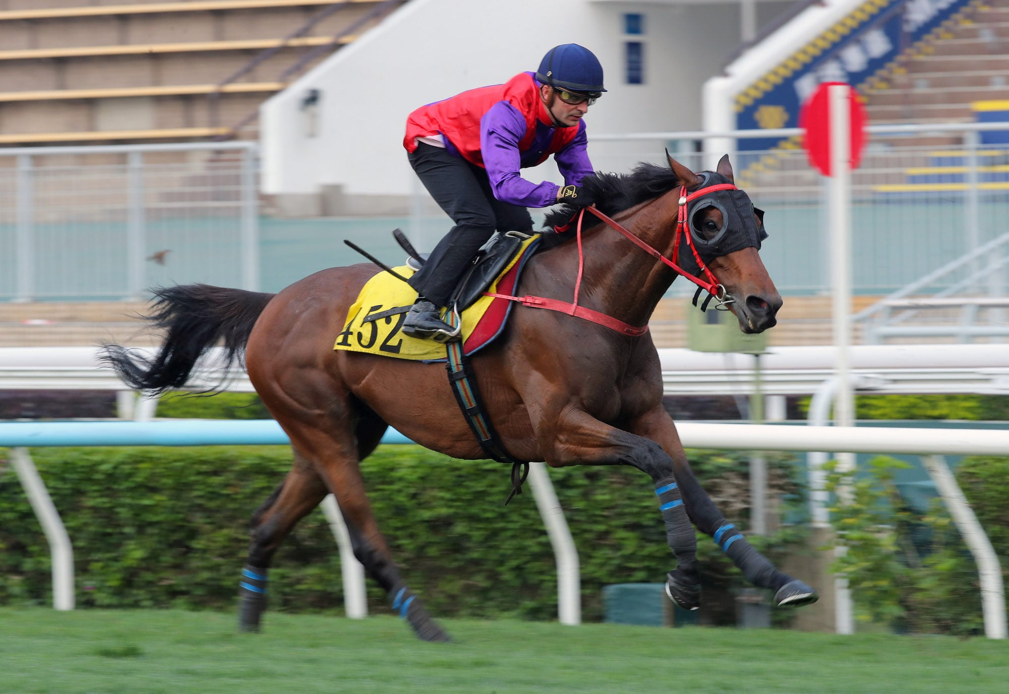 The next one will not take its place in the QEII Cup.