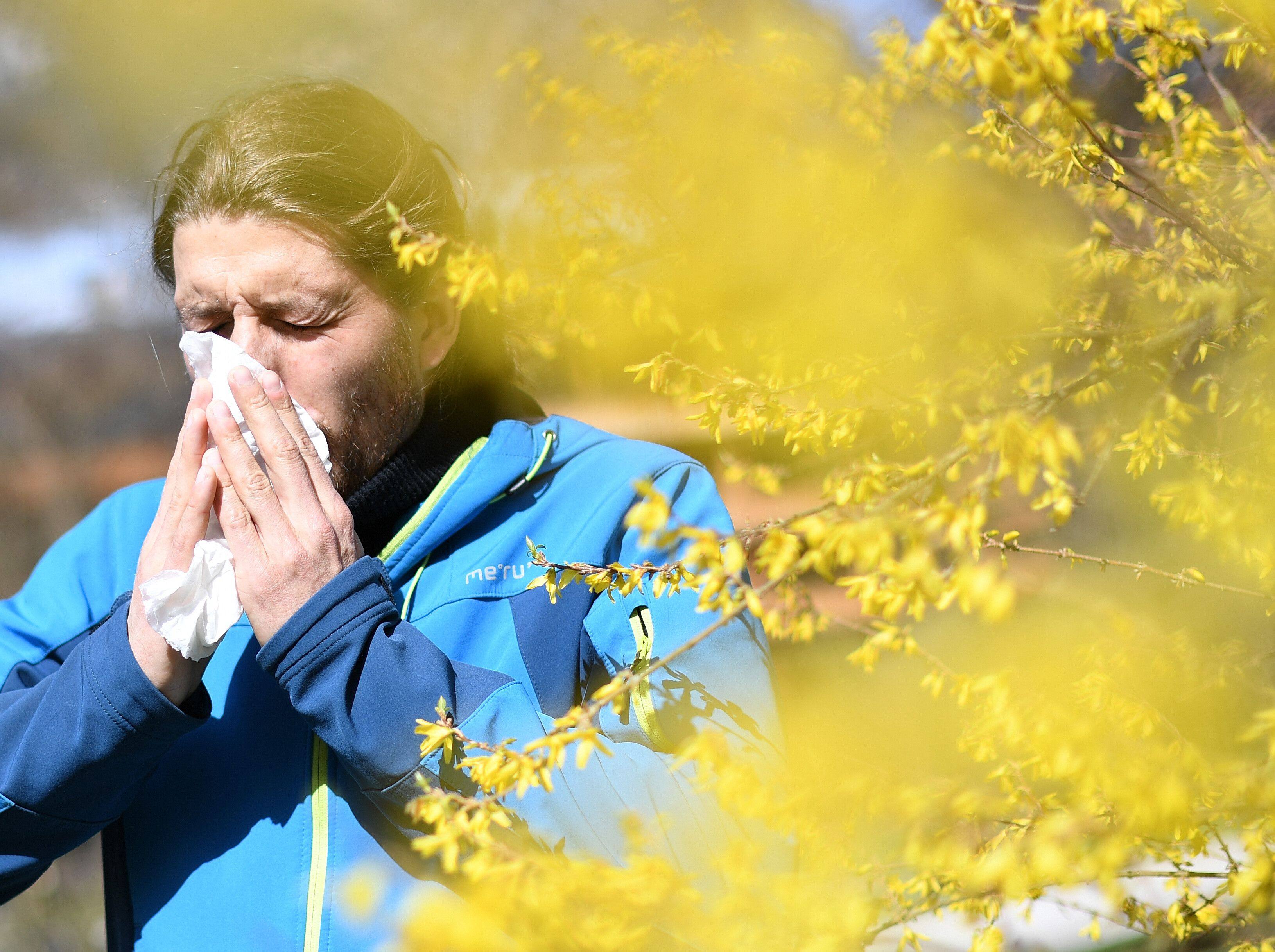 Climate change is leading to longer growing seasons and more pollen in the air; here’s how to handle allergy symptoms caused by this phenomenon. Photo: dpa