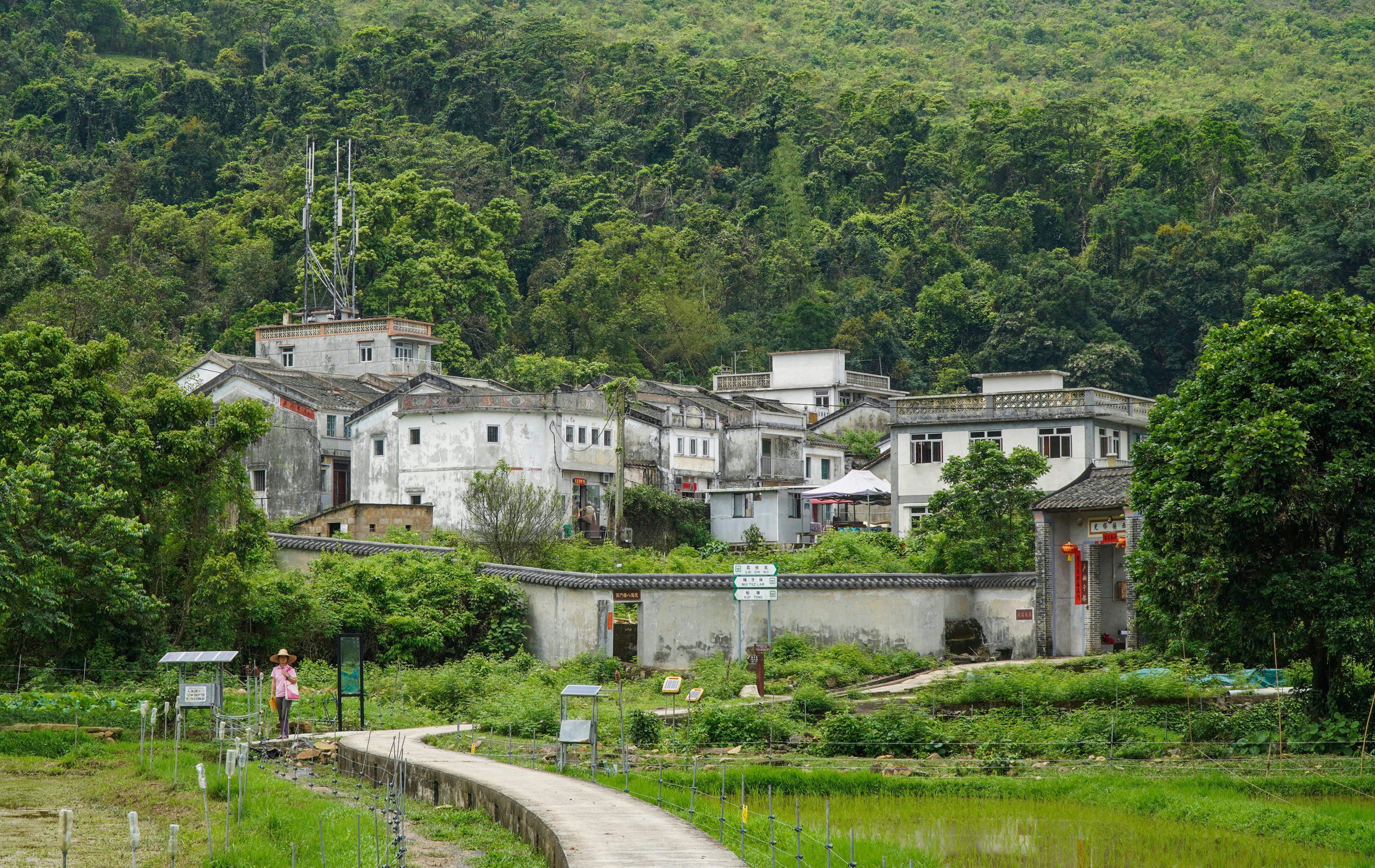 Lai Chi Wo, a Hakka walled village, in the northeastern New Territories of Hong Kong in 2019. The settlement has a history of more than 300 years. Photo: Roy Issa