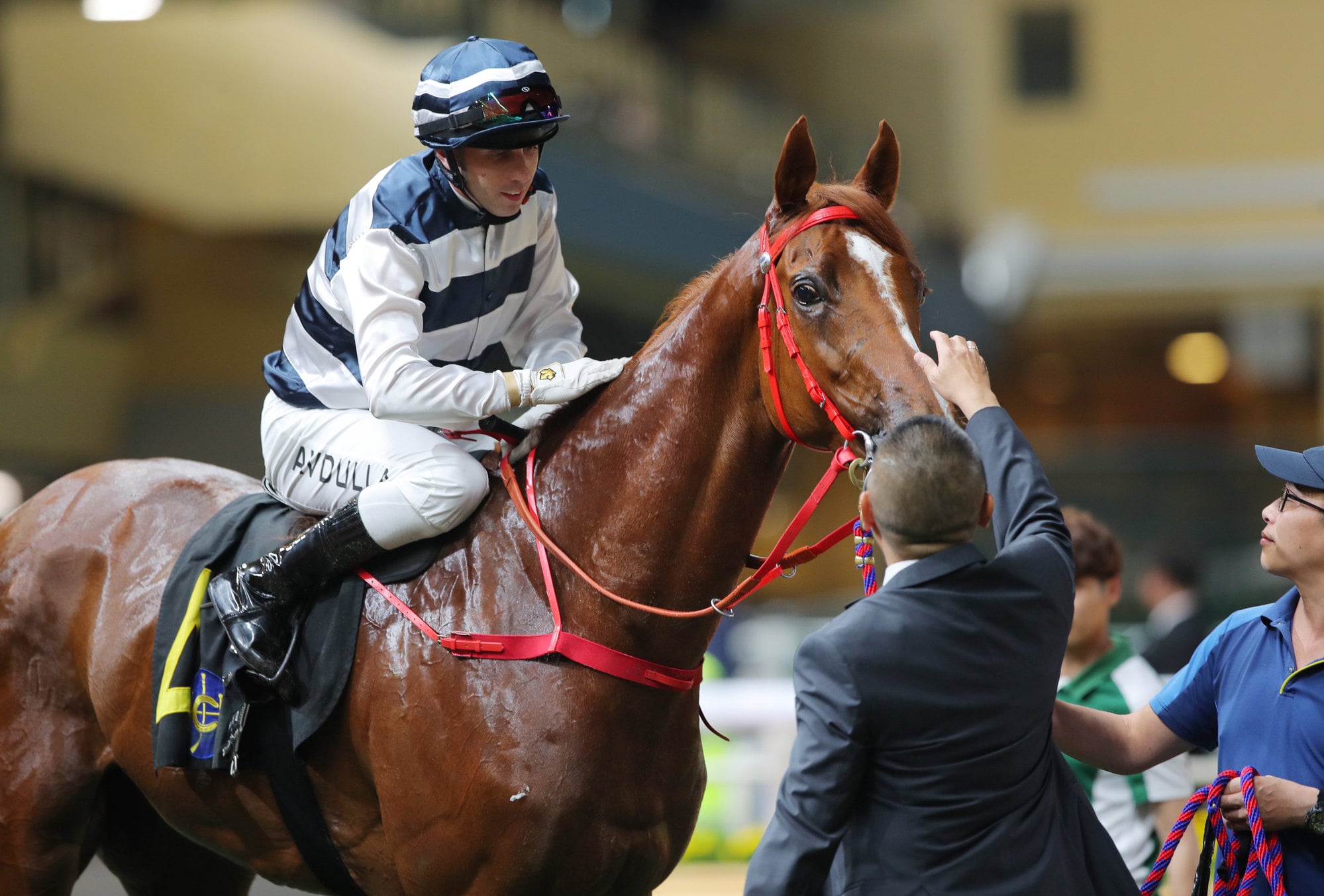 Danny Shum rubs Harmony Galaxy after his win at Happy Valley.