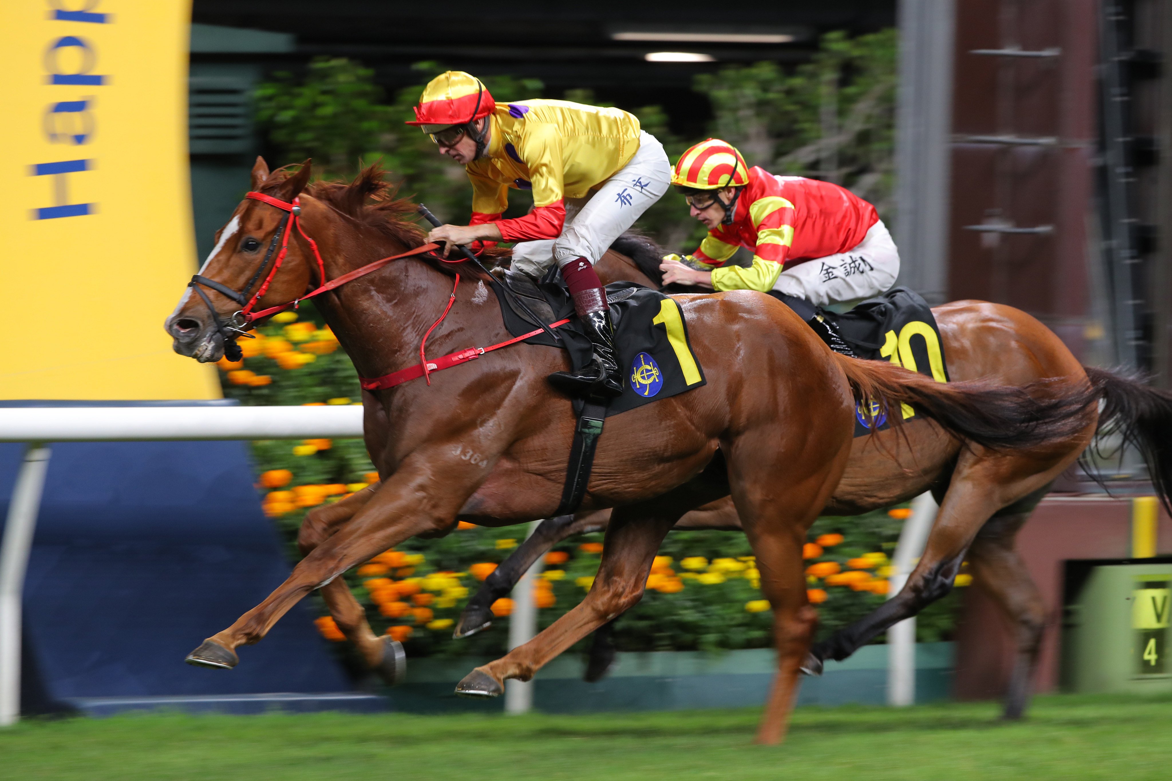 Fantastic Fun, ridden by Hugh Bowman, wins at Happy Valley. Photos: Kenneth Chan