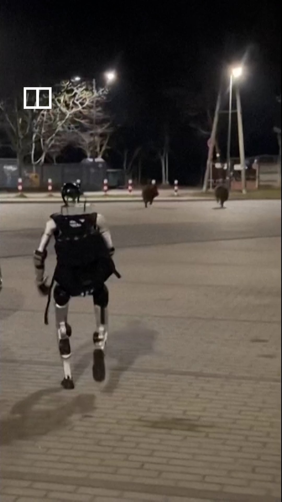 Chinese robot chases away boars in Poland