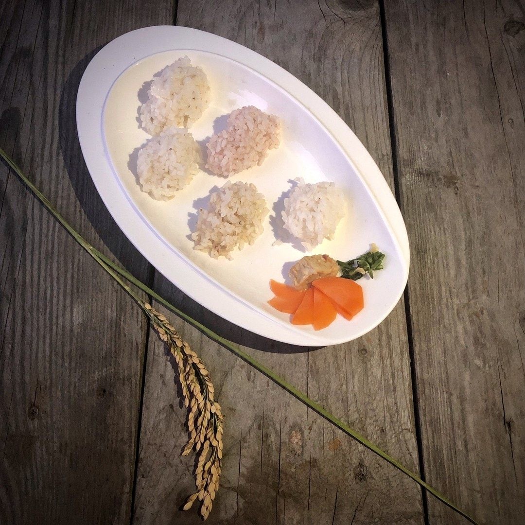 Five types of local Hong Kong rice are presented at a rice tasting meeting. A new book and exhibition shines a light on Hong Kong’s local rice varieties. Photo: Instagram/giftfromland