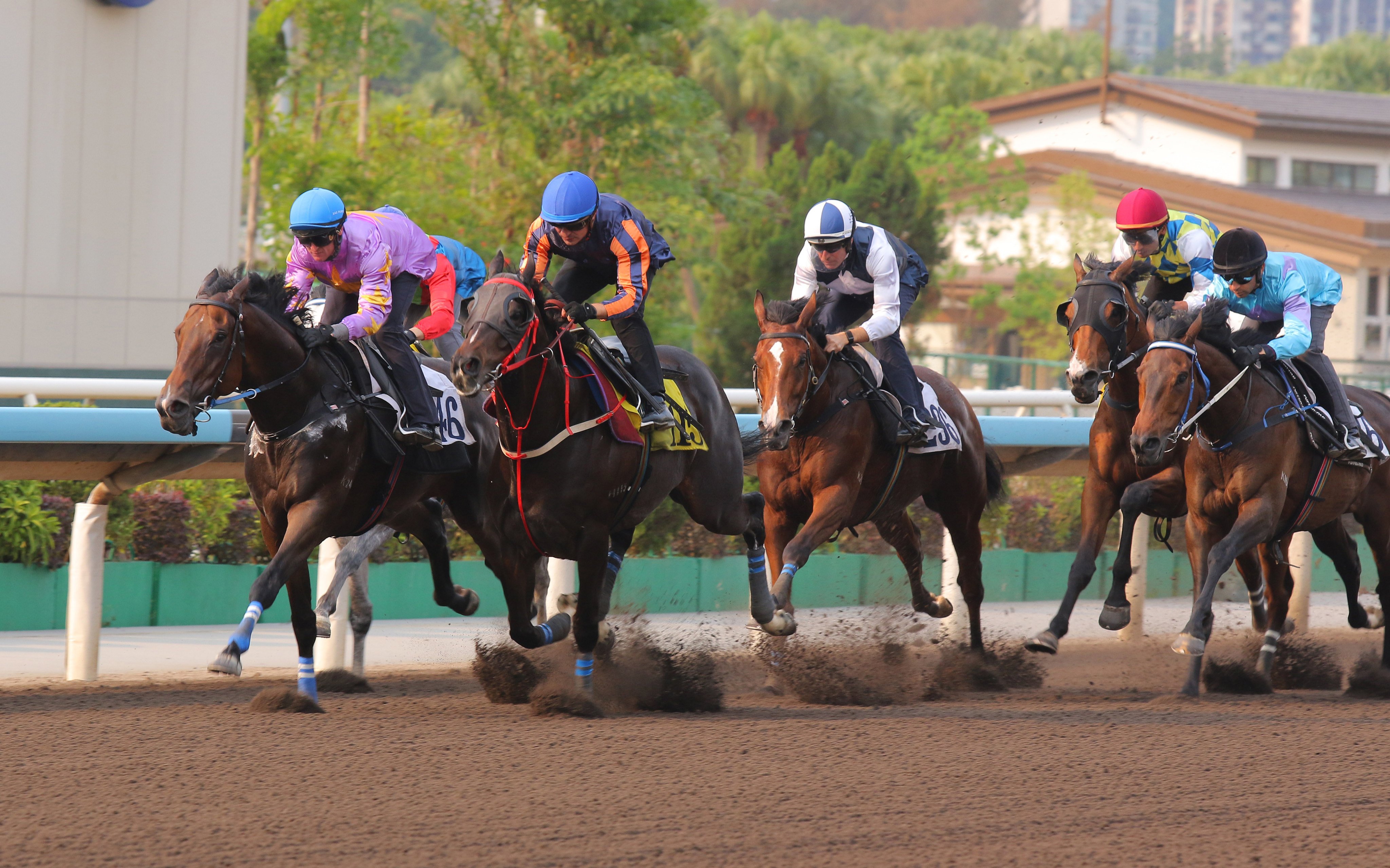 Little Paradise (inside) holds off Red Lion to win a Sha Tin trial on Thursday. Photos: Kenneth Chan