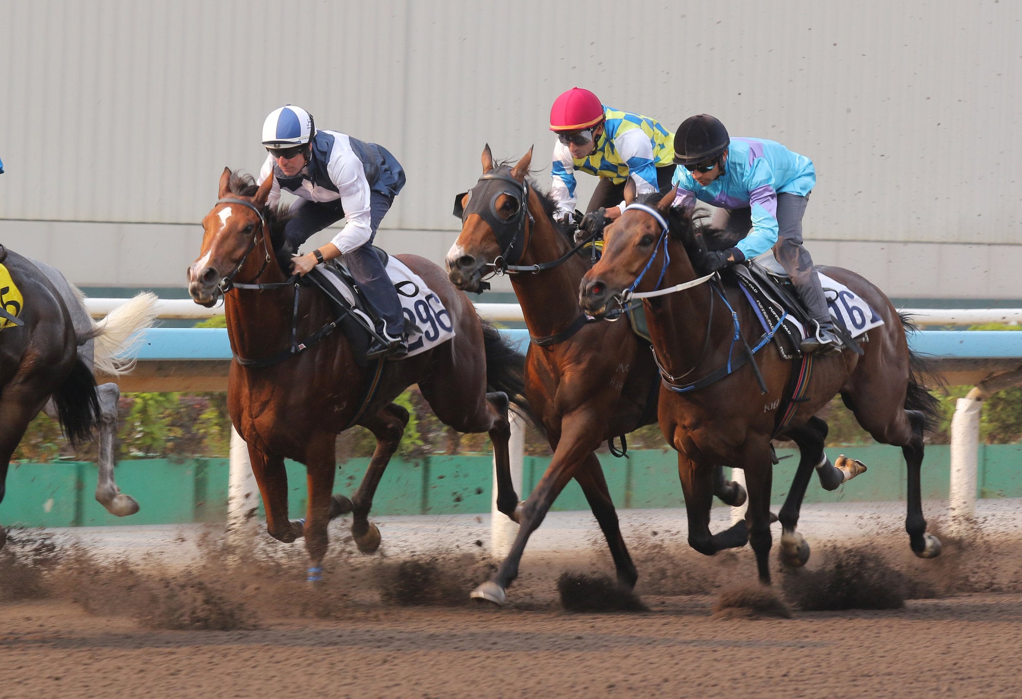 Invincible Ibis (inside) in action in Thursday’s trial.
