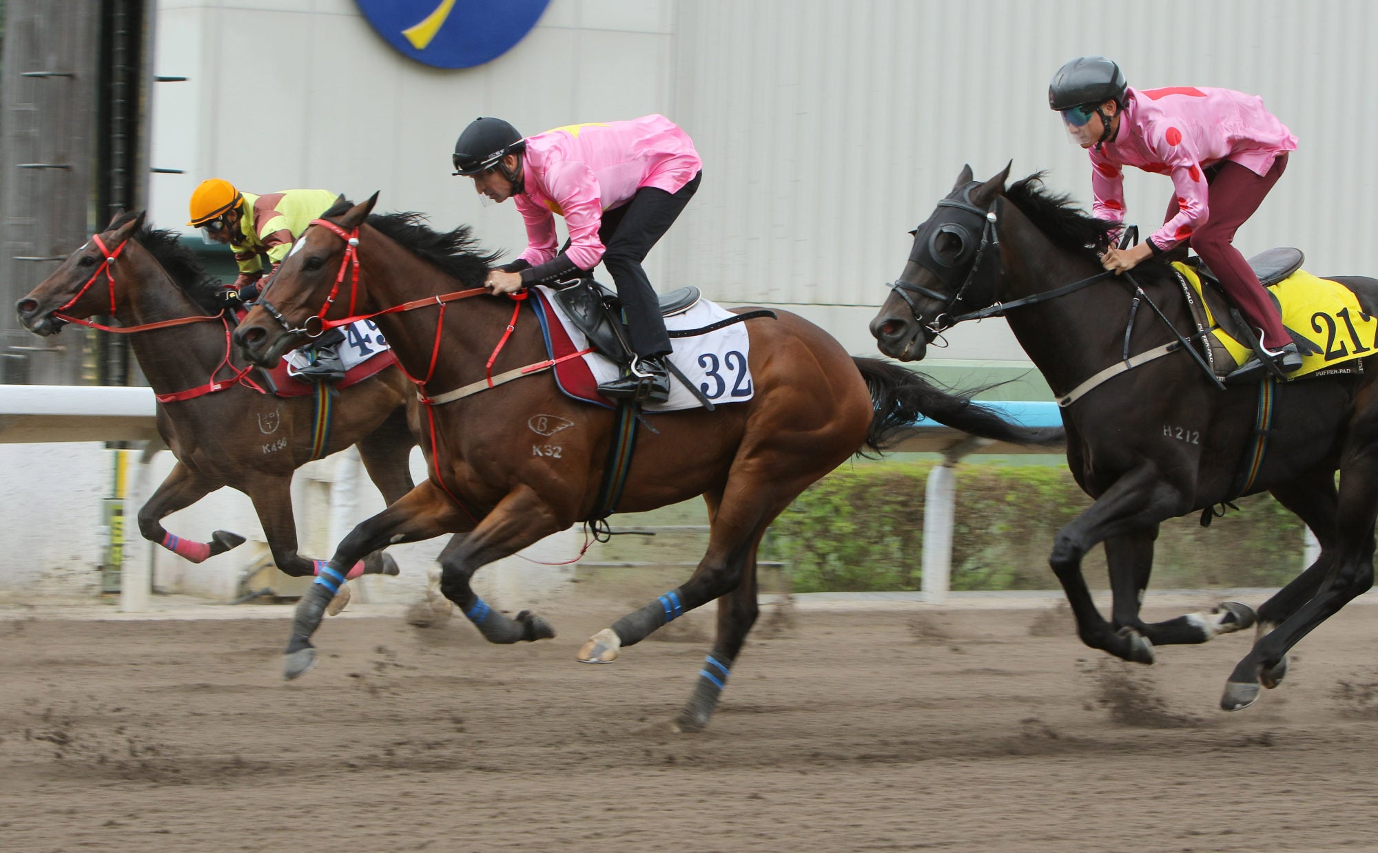 Sky Jewellery (32) trials at Sha Tin in September.