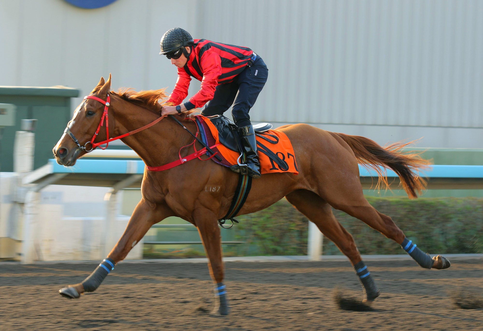 Nautical Force stretches out under Ryan Moore in December.