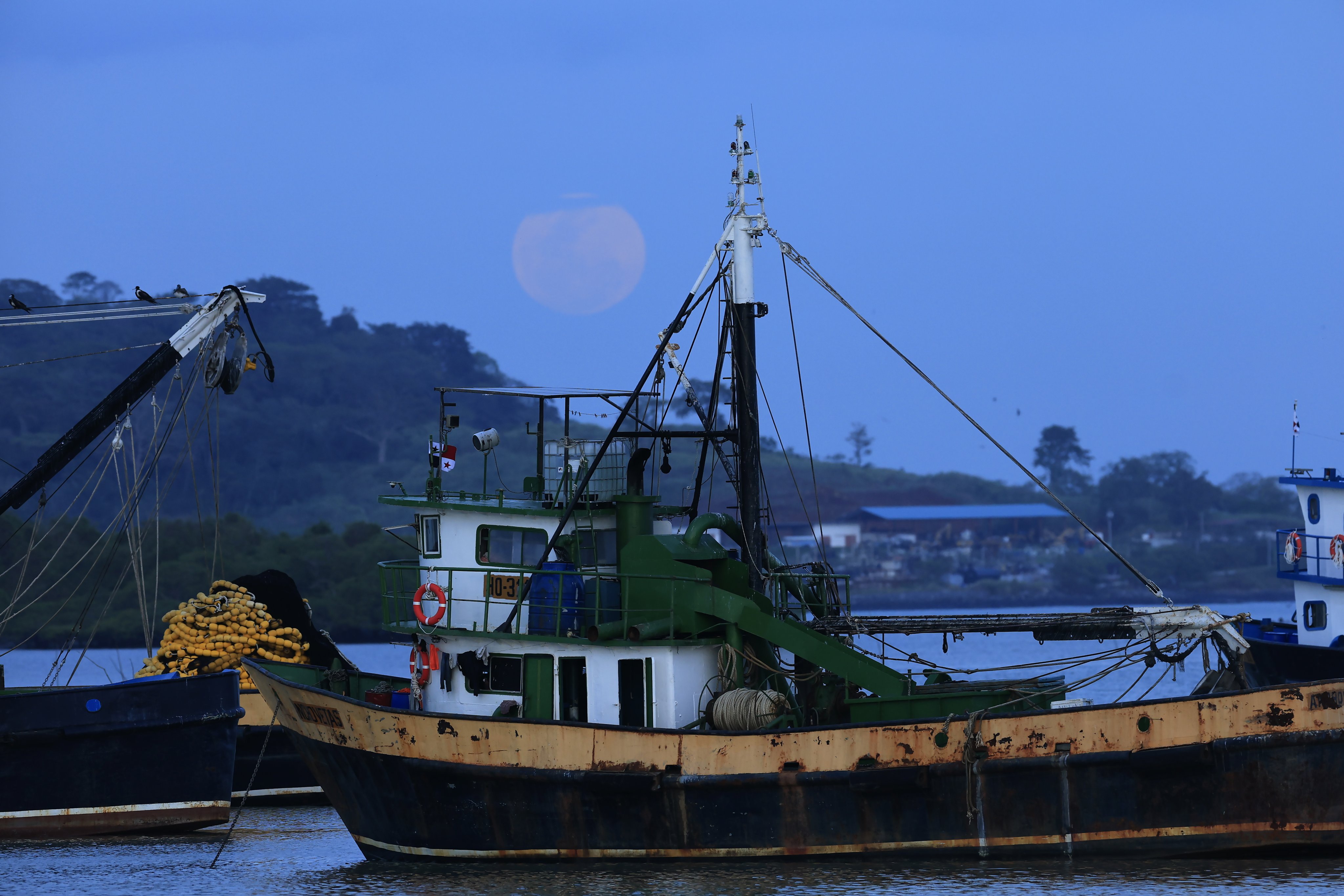 A view of the pink full moon as viewed from the village of Puerto Caimito in La Chorrera, Panamaon April 1 2026. Photo: EPA