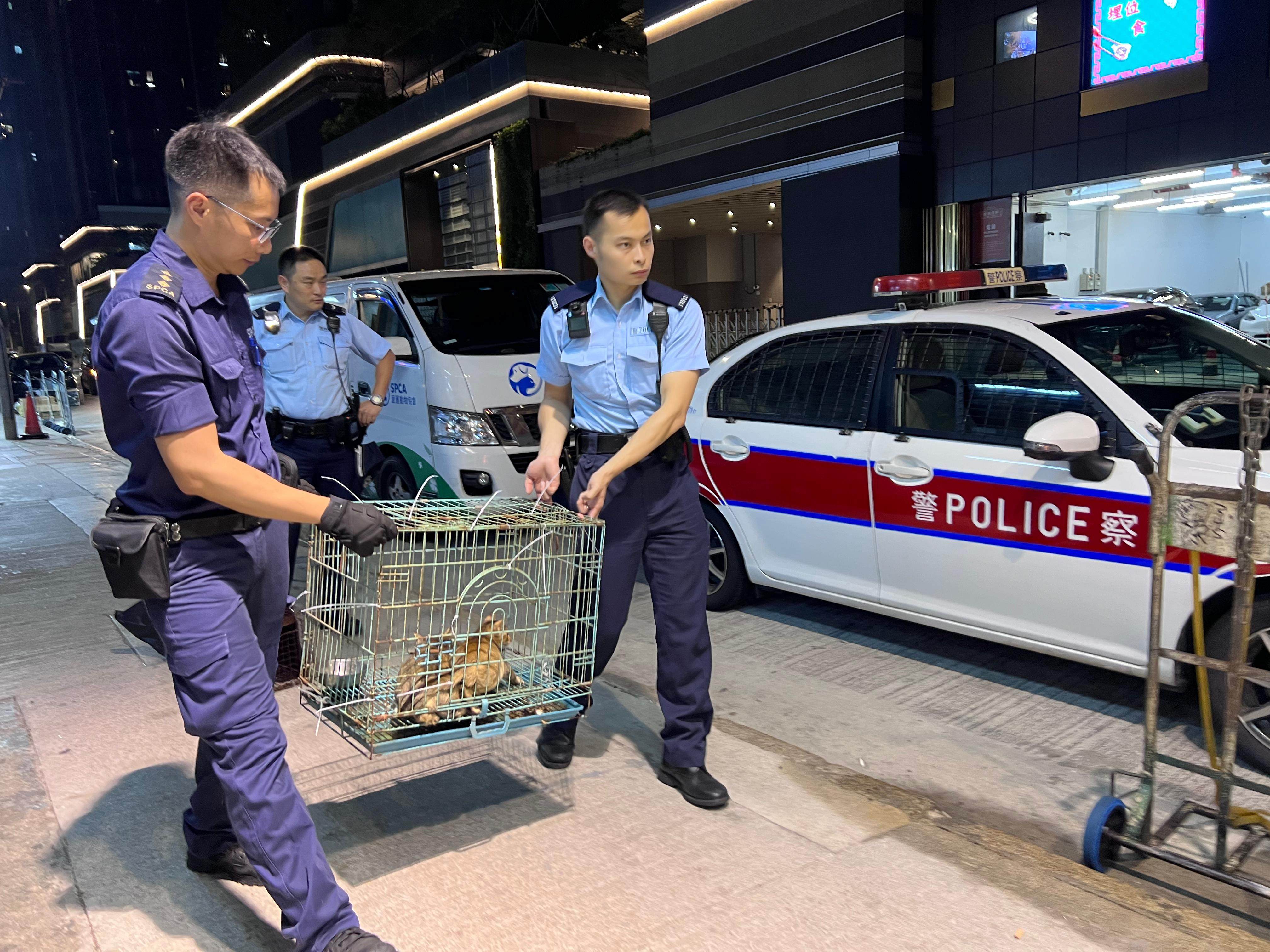 Hong Kong is planning joint police operations to enter premises in suspected animal cruelty cases. Photo: SPCA