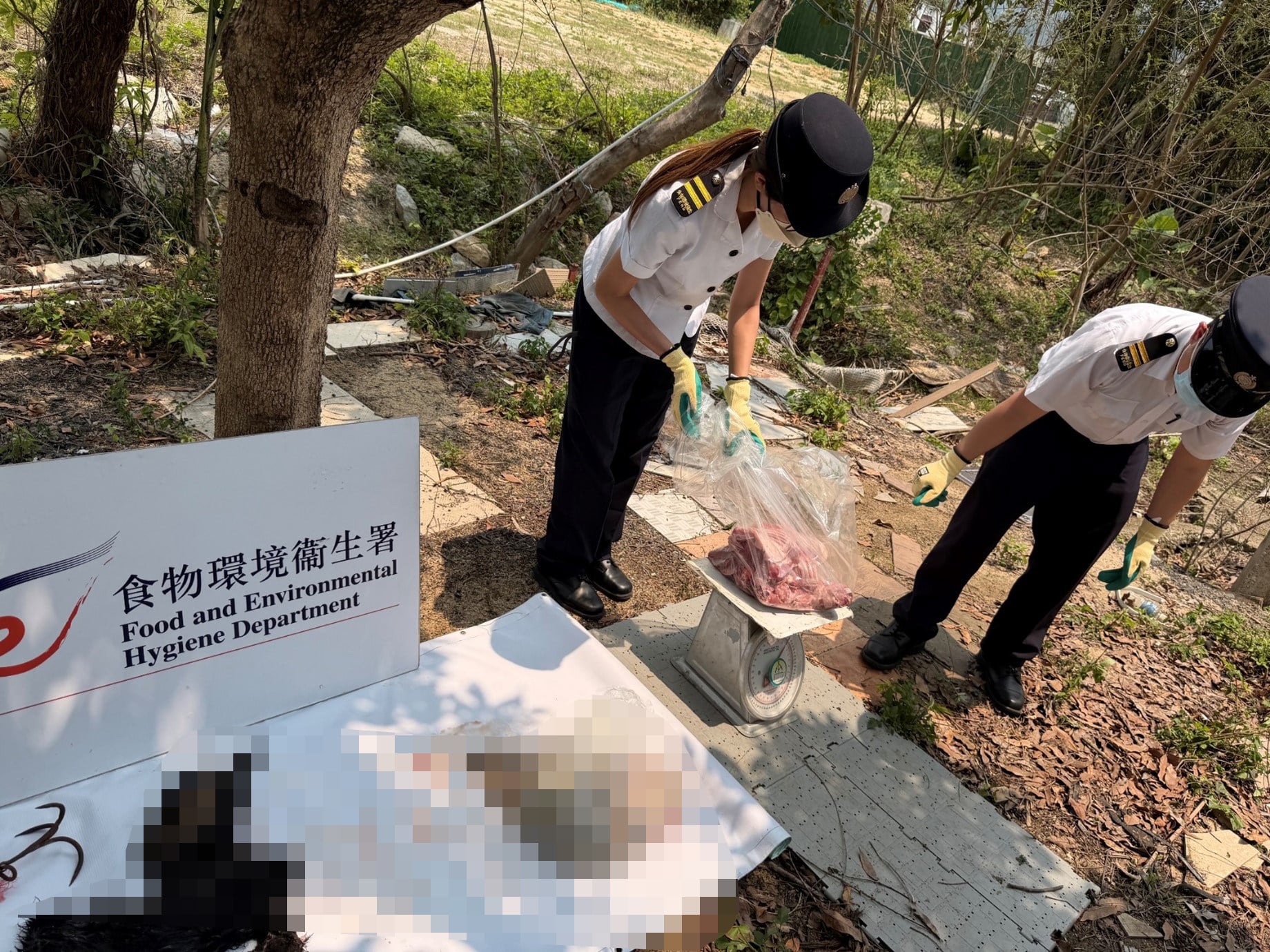 Officers from the Food and Environmental Hygiene Department seized 7.4kg of goat meat and offal with an estimated market value of HK$3,000. Photo: Handout