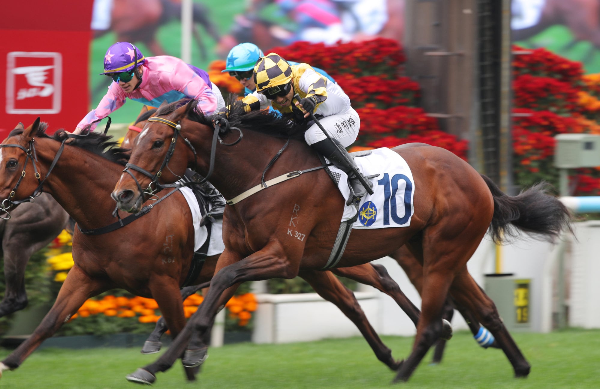 Flying Boom, ridden by Matthew Poon, salutes at Sha Tin.