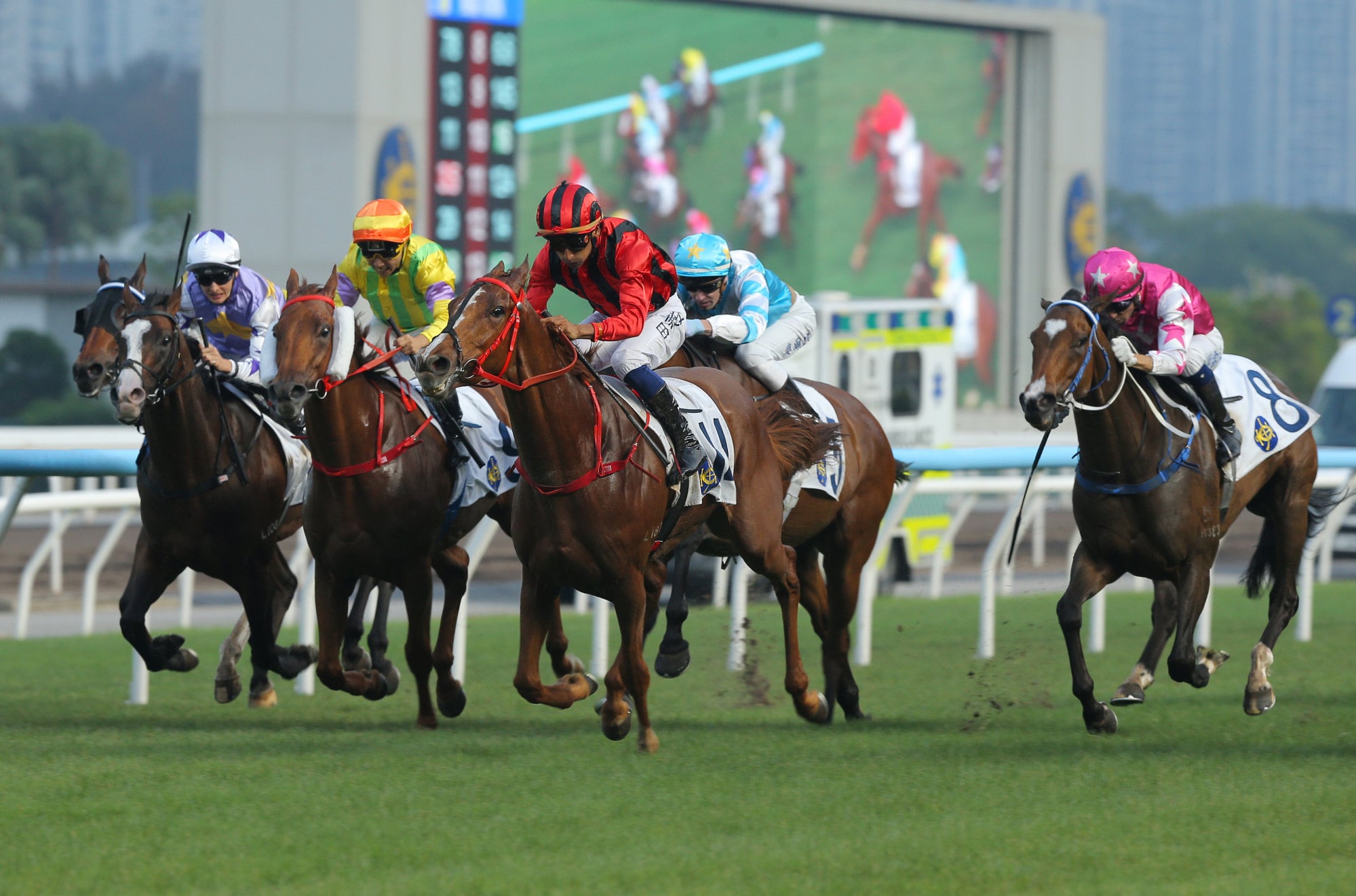Nautical Force (black and red) runs riot at Sha Tin.