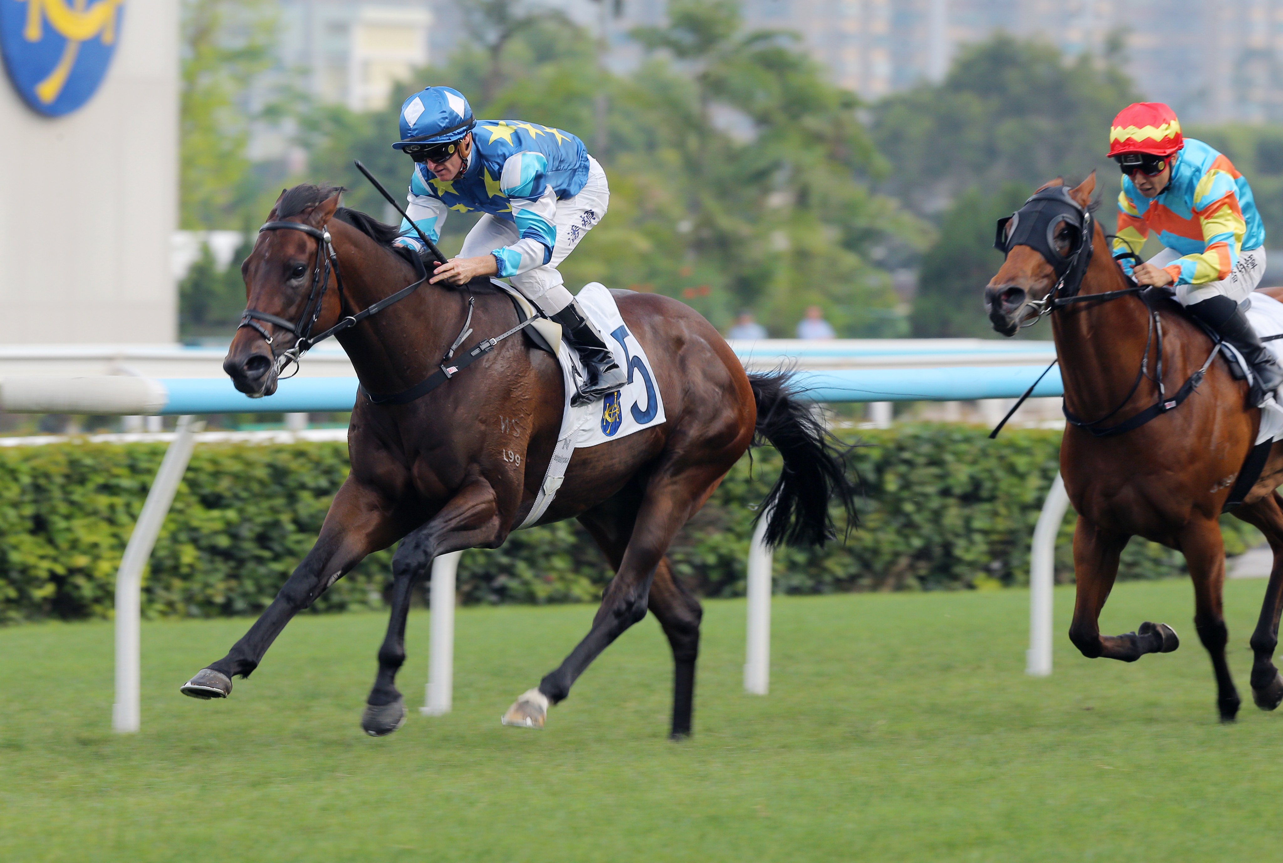 Gold Patch gives Zac Purton 100 wins for the season at Sha Tin. Photos: Kenneth Chan