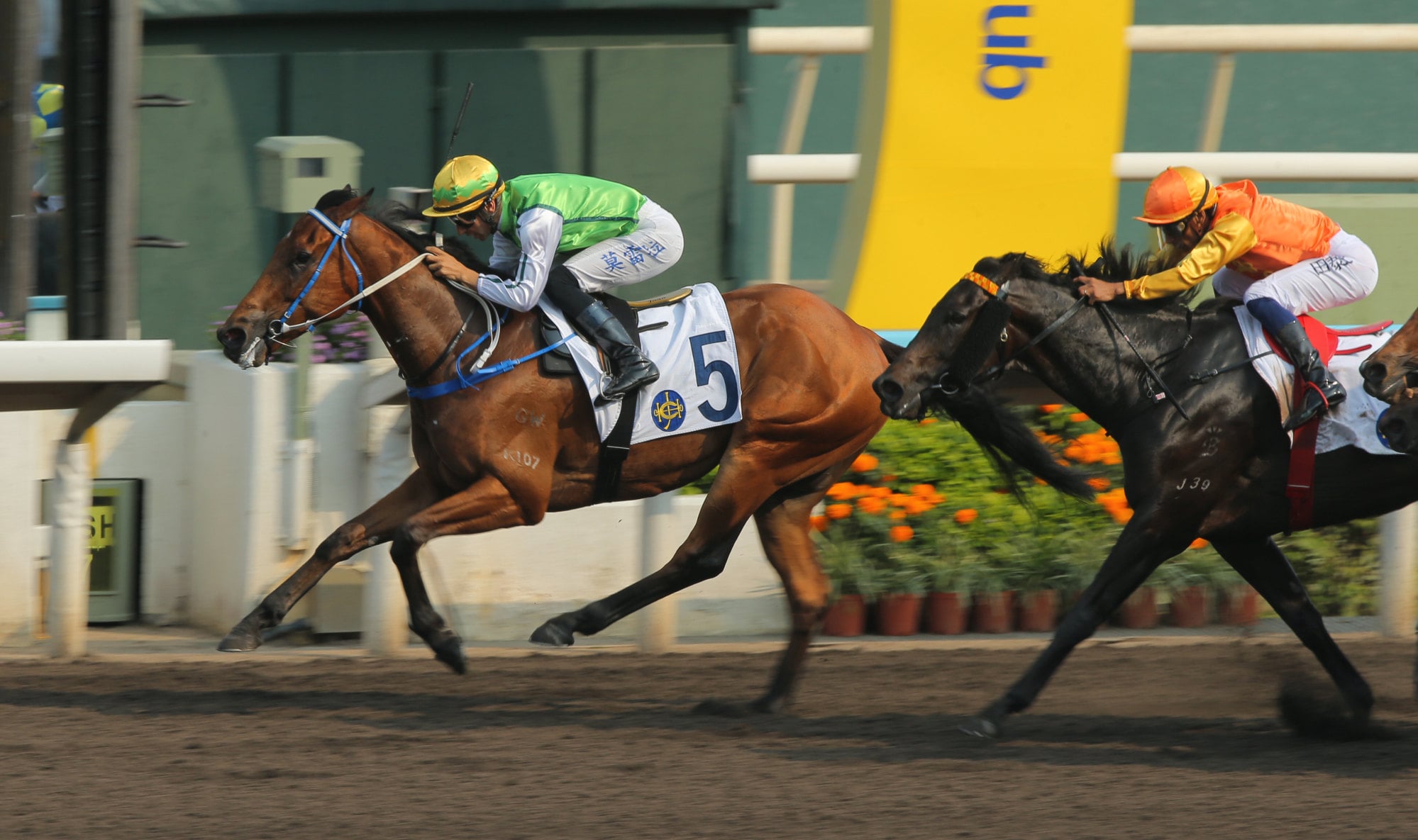 Joao Moreira boots home Target Audience.