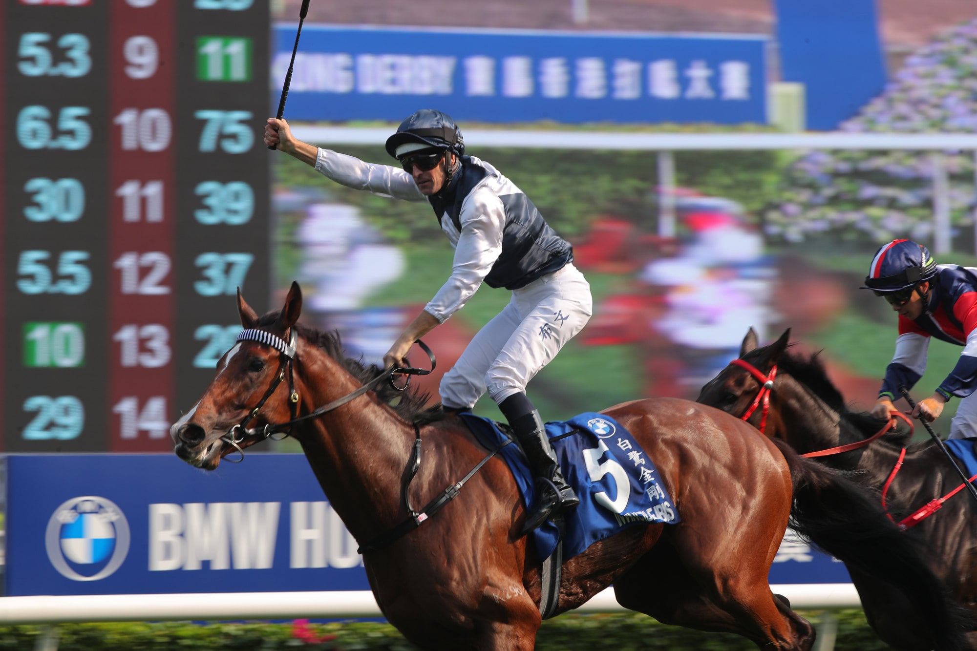 Invincible Ibis will be ridden by James McDonald in the Champions Mile.