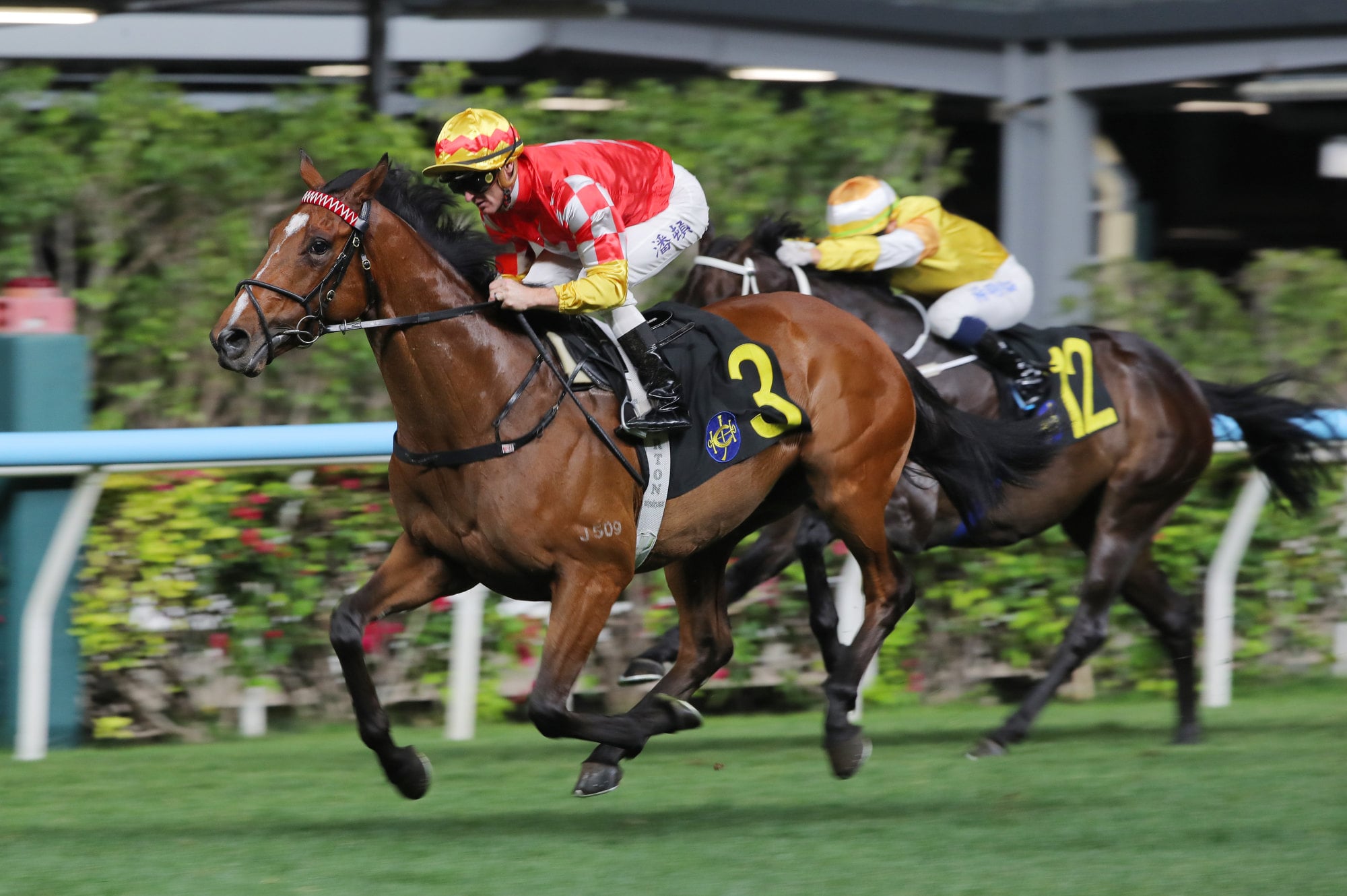 Ace War, ridden by Zac Purton, will seek a hat-trick of wins at Happy Valley on Wednesday.