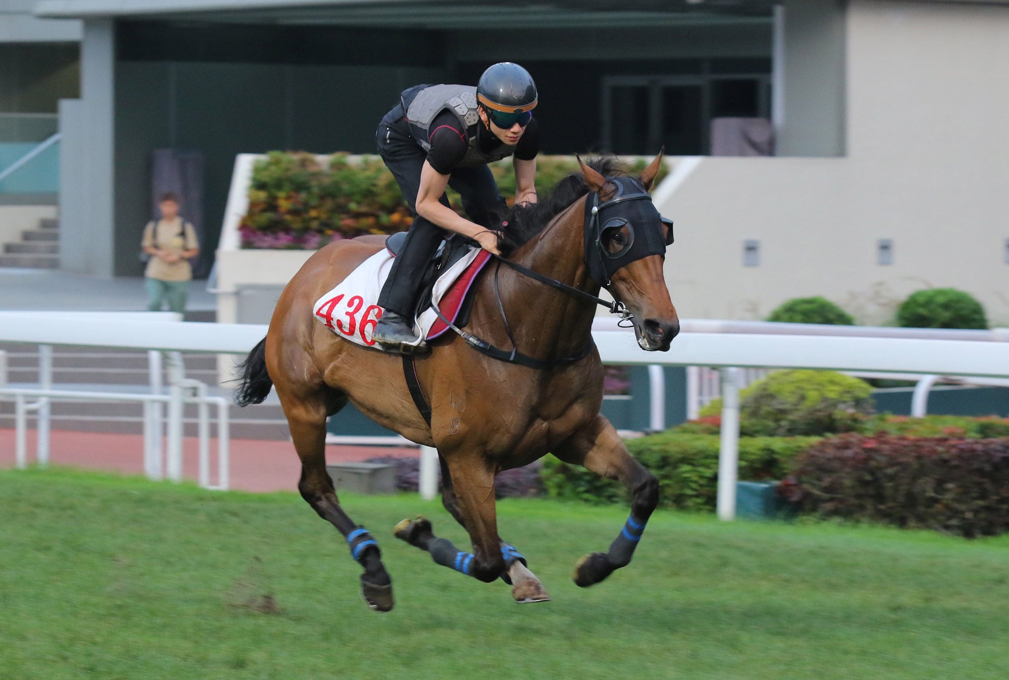 Voyage Bubble gallops at Sha Tin last Thursday.