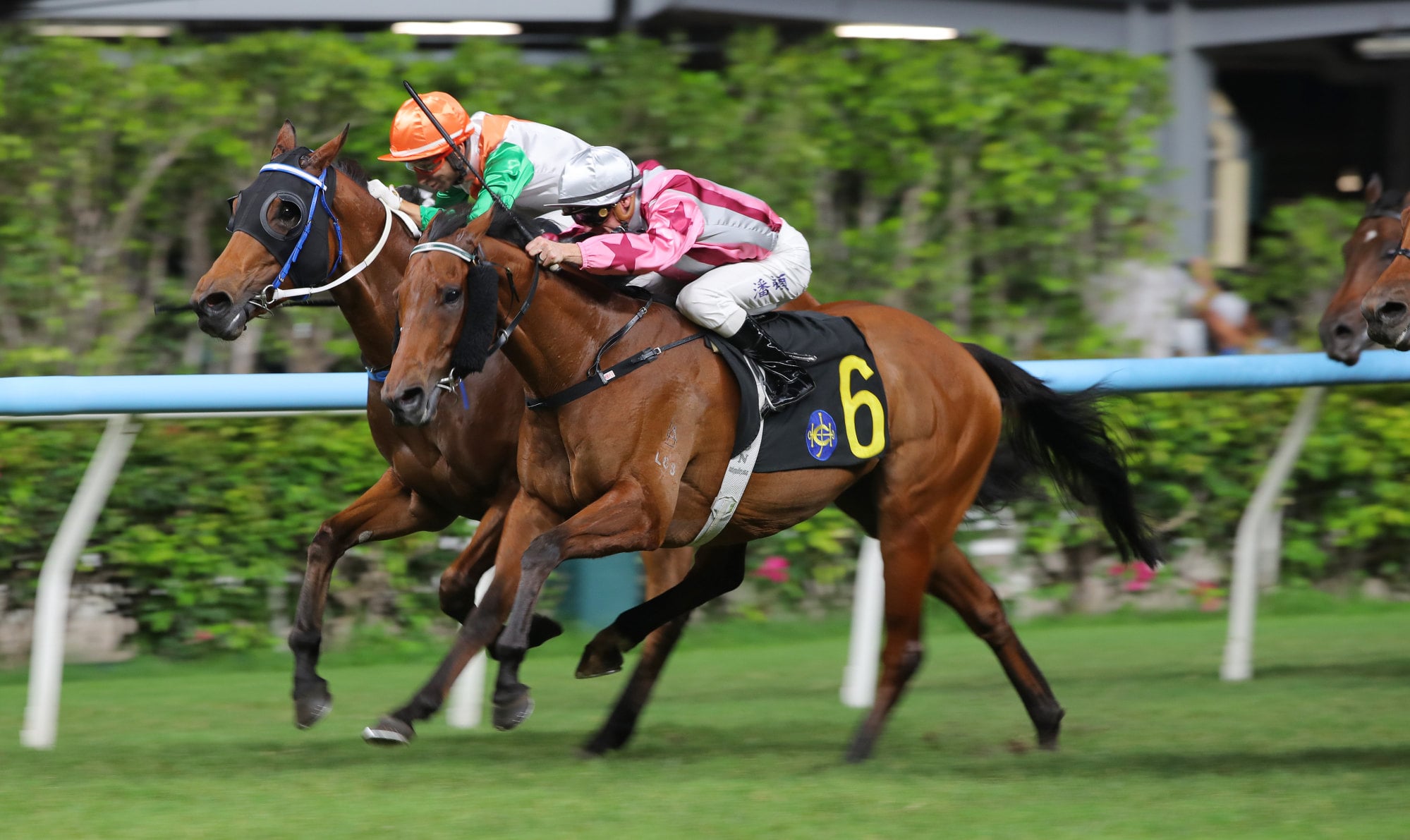 Vigor Eye gets up on the outside of Captain Link to score narrowly.