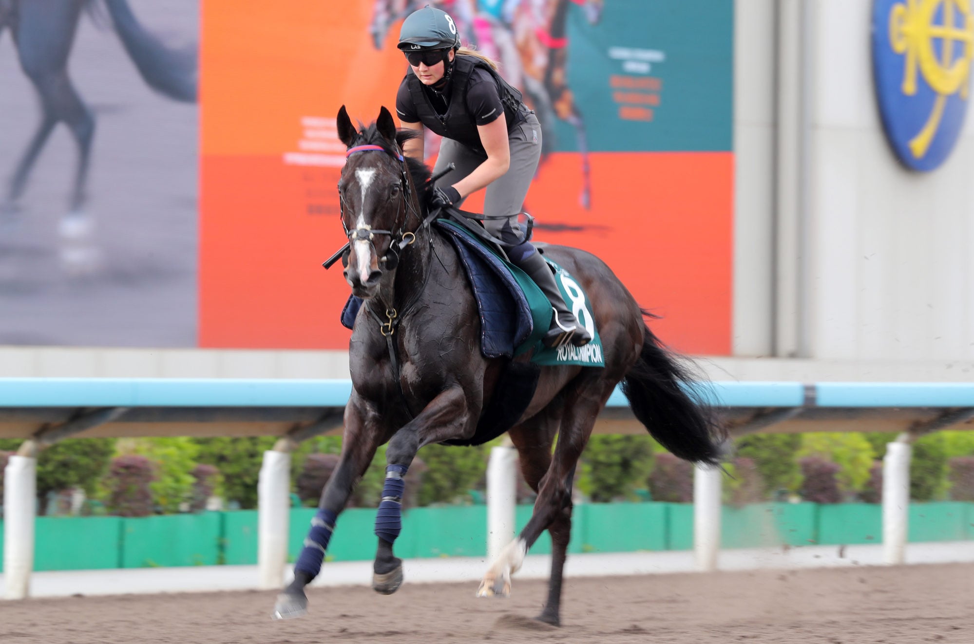 Royal Champion at Sha Tin.