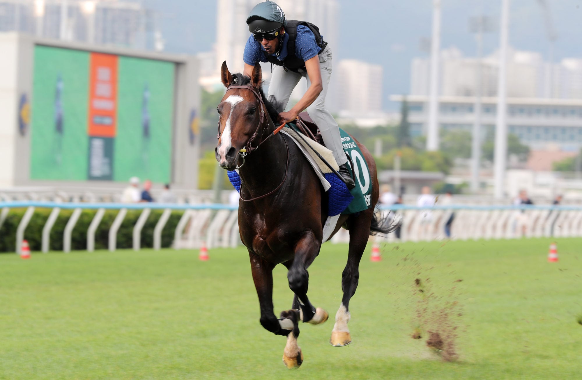 Sosie gallops at Sha Tin.