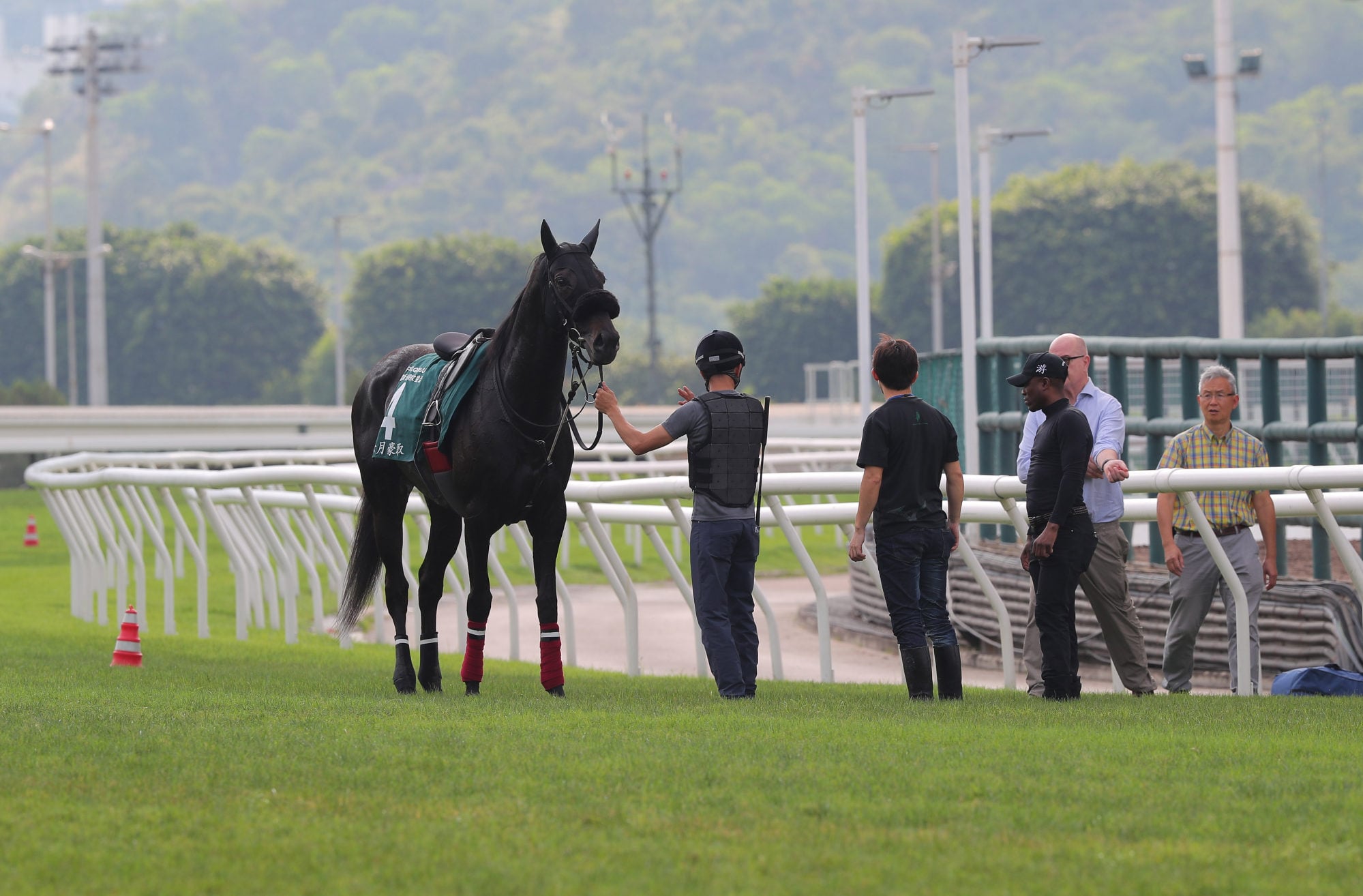 June Take is assessed after stopping during his gallop at Sha Tin.