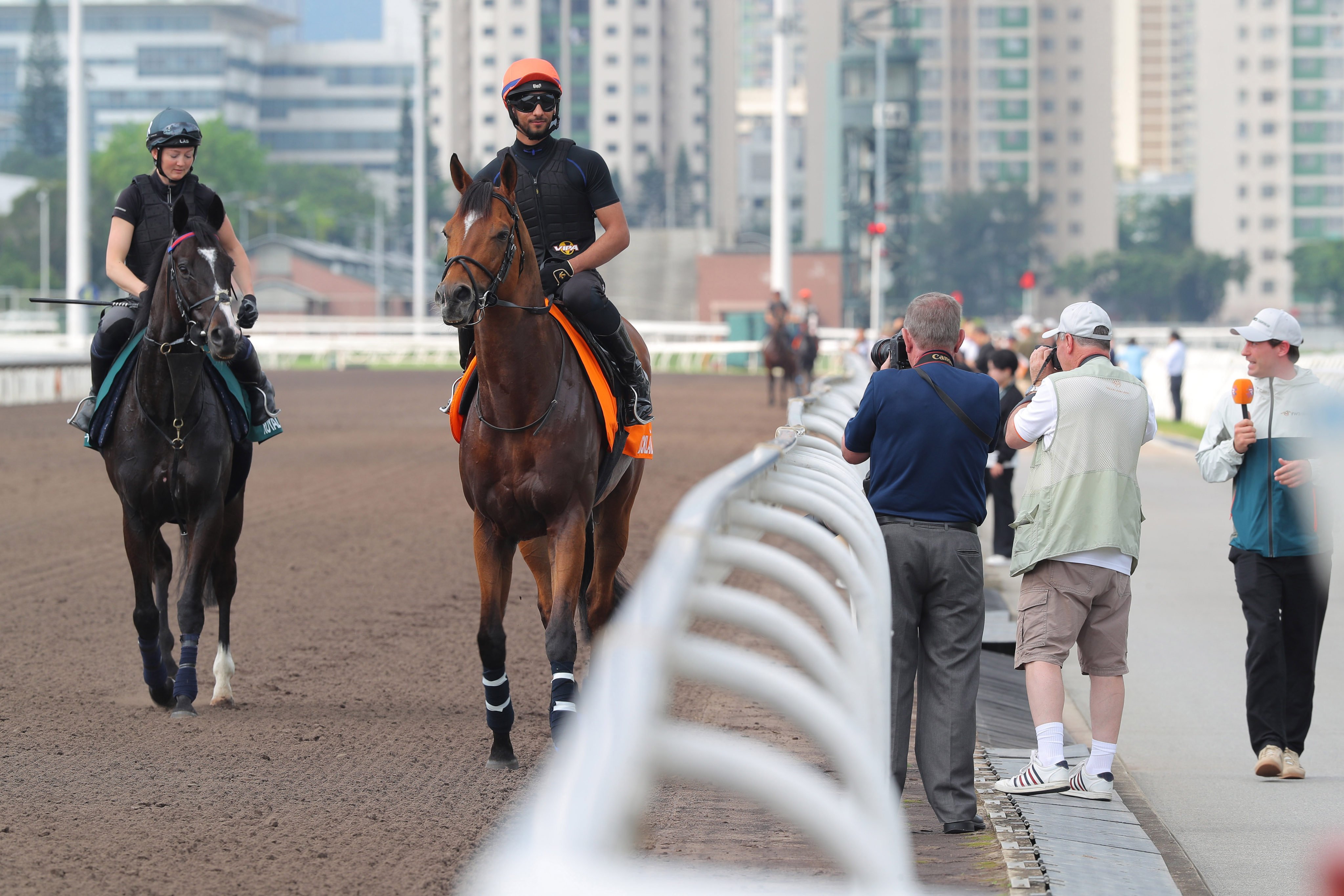 Docklands (right) and Royal Champion at Sha Tin on Wednesday. Photos: Kenneth Chan