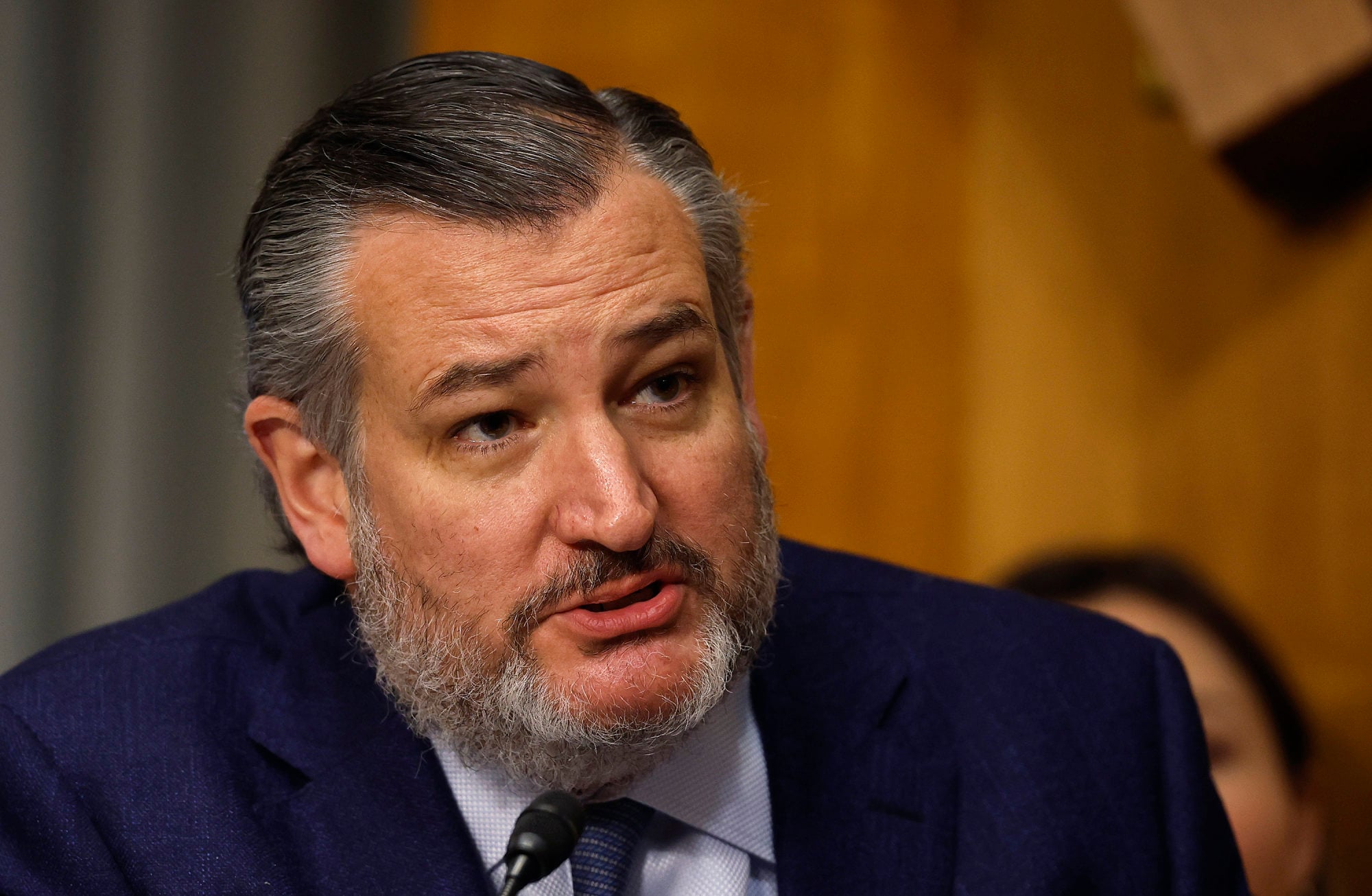 Republican Senator Ted Cruz noted striking similarities between the US F‑35 and China’s J‑35 fighter aircraft. Photo: Getty Images/TNS